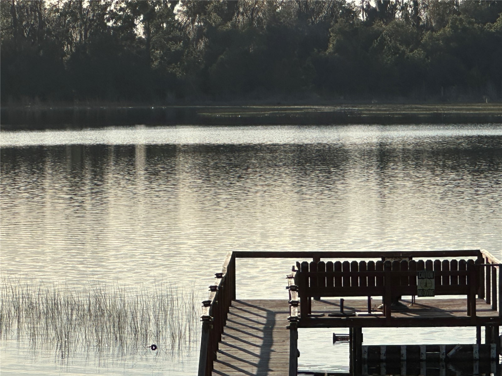 41515 Silver Drive Umatilla FL 32784 - SOUTH TWINN LAKE O6376572 image2