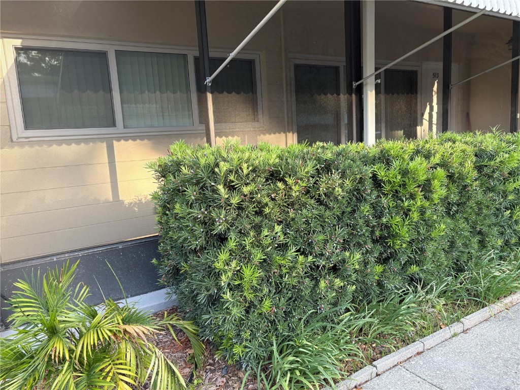 4152 56th Way N #513 Kenneth City FL 33709 TB8385355 image1