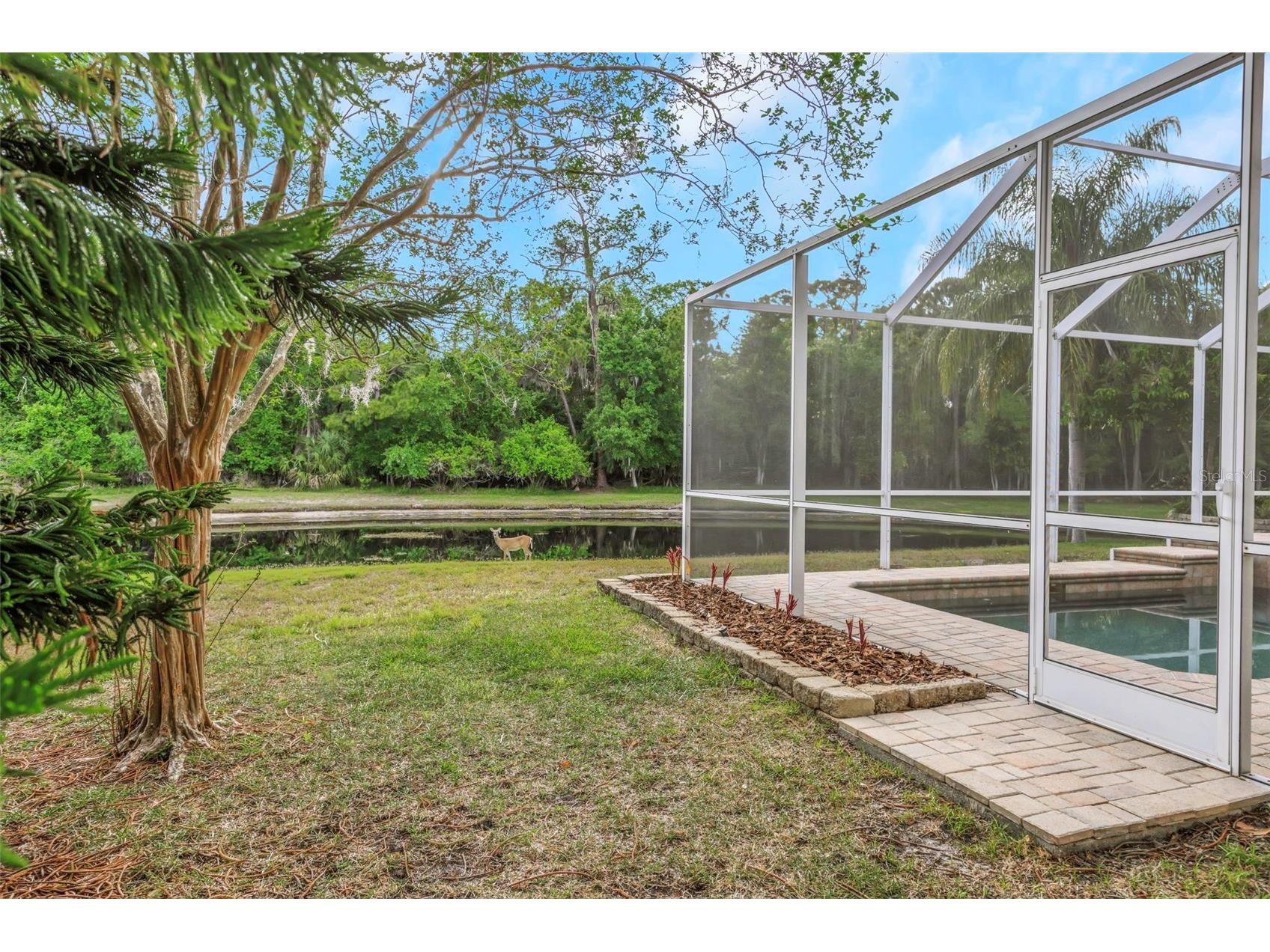 4152 Grandchamp Circle Palm Harbor FL 34685 TB8498897 image23