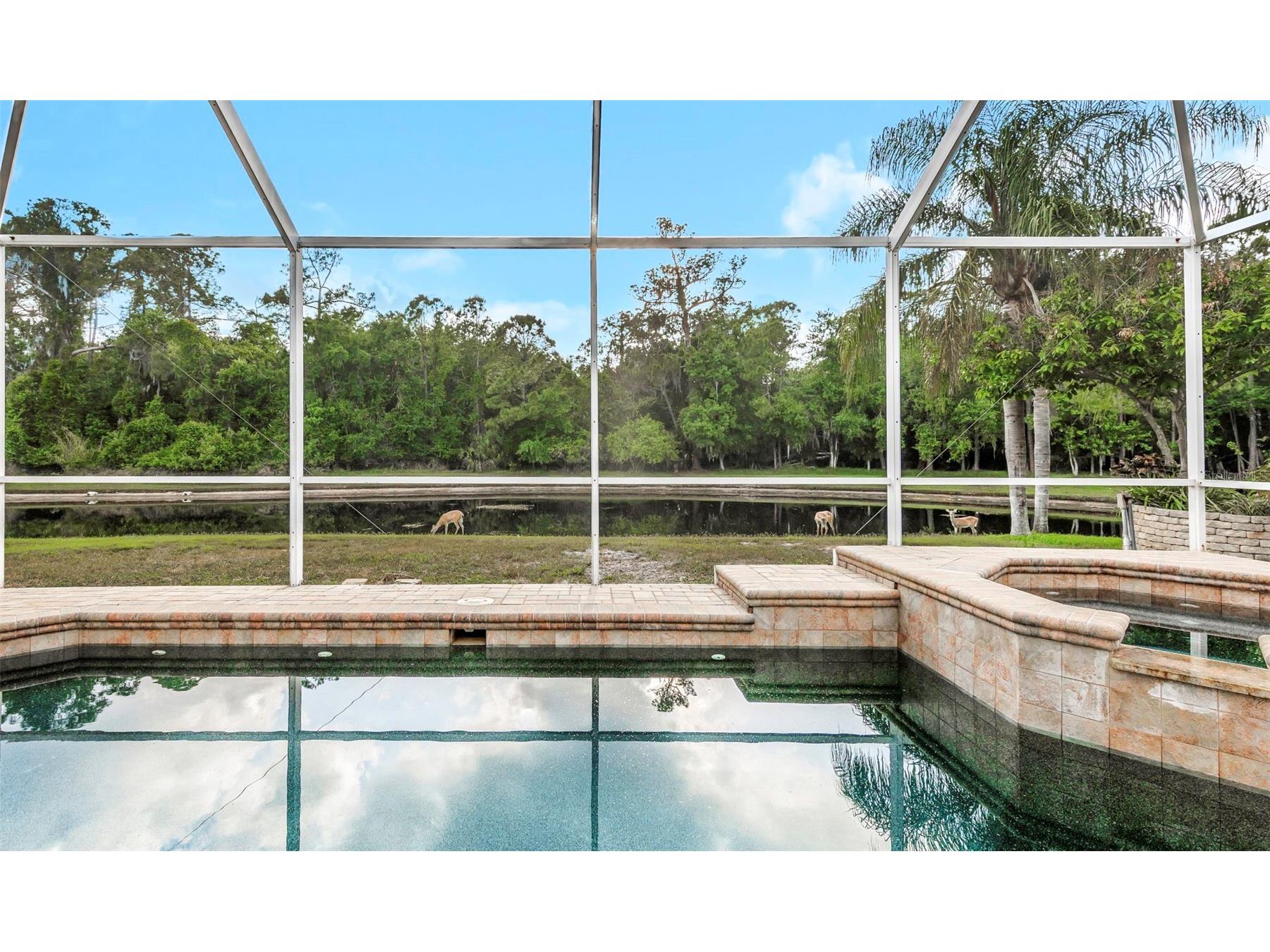 4152 Grandchamp Circle Palm Harbor FL 34685 TB8498897 image24