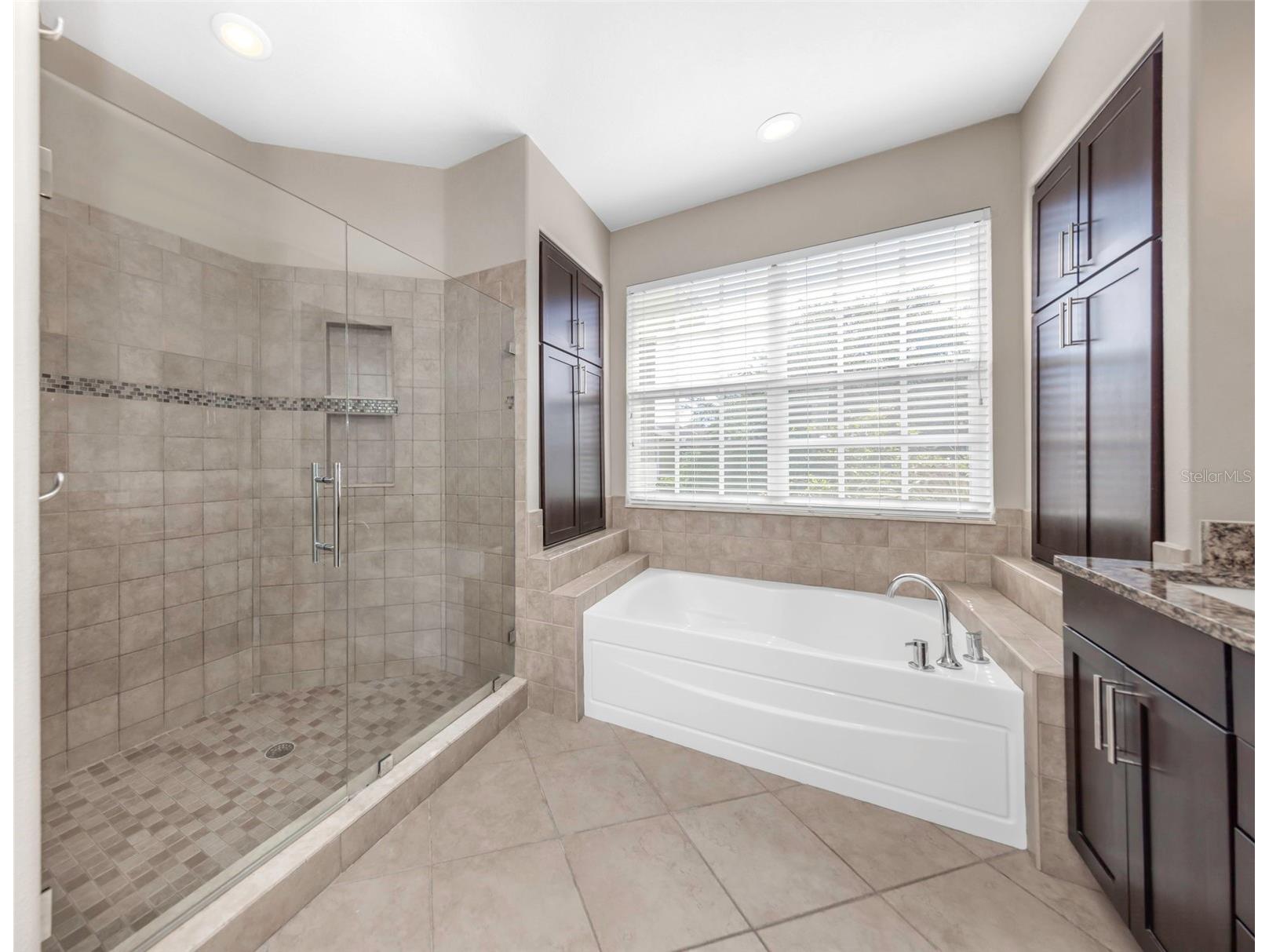 4152 Grandchamp Circle Palm Harbor FL 34685 TB8498897 image37