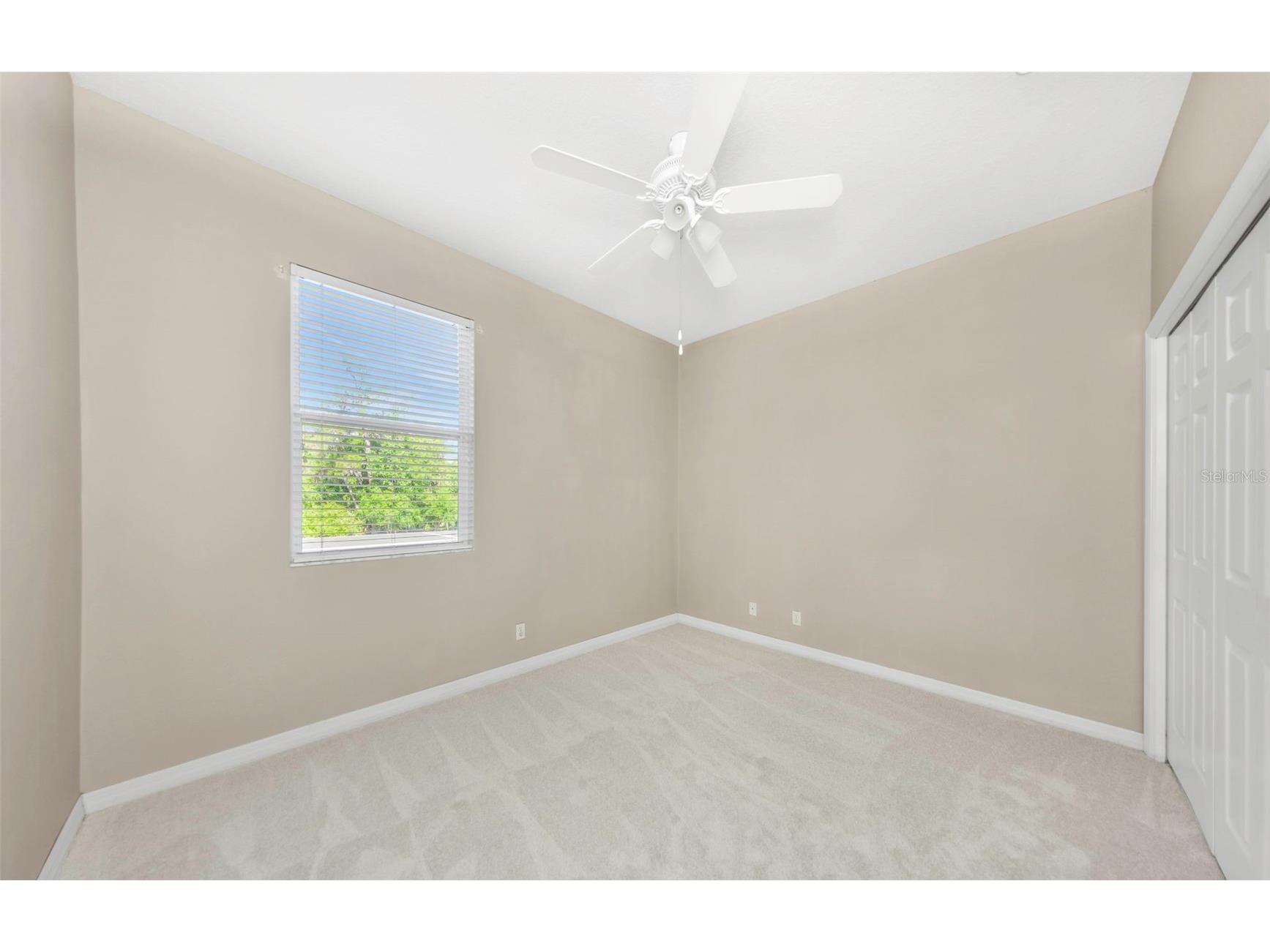 4152 Grandchamp Circle Palm Harbor FL 34685 TB8498897 image44