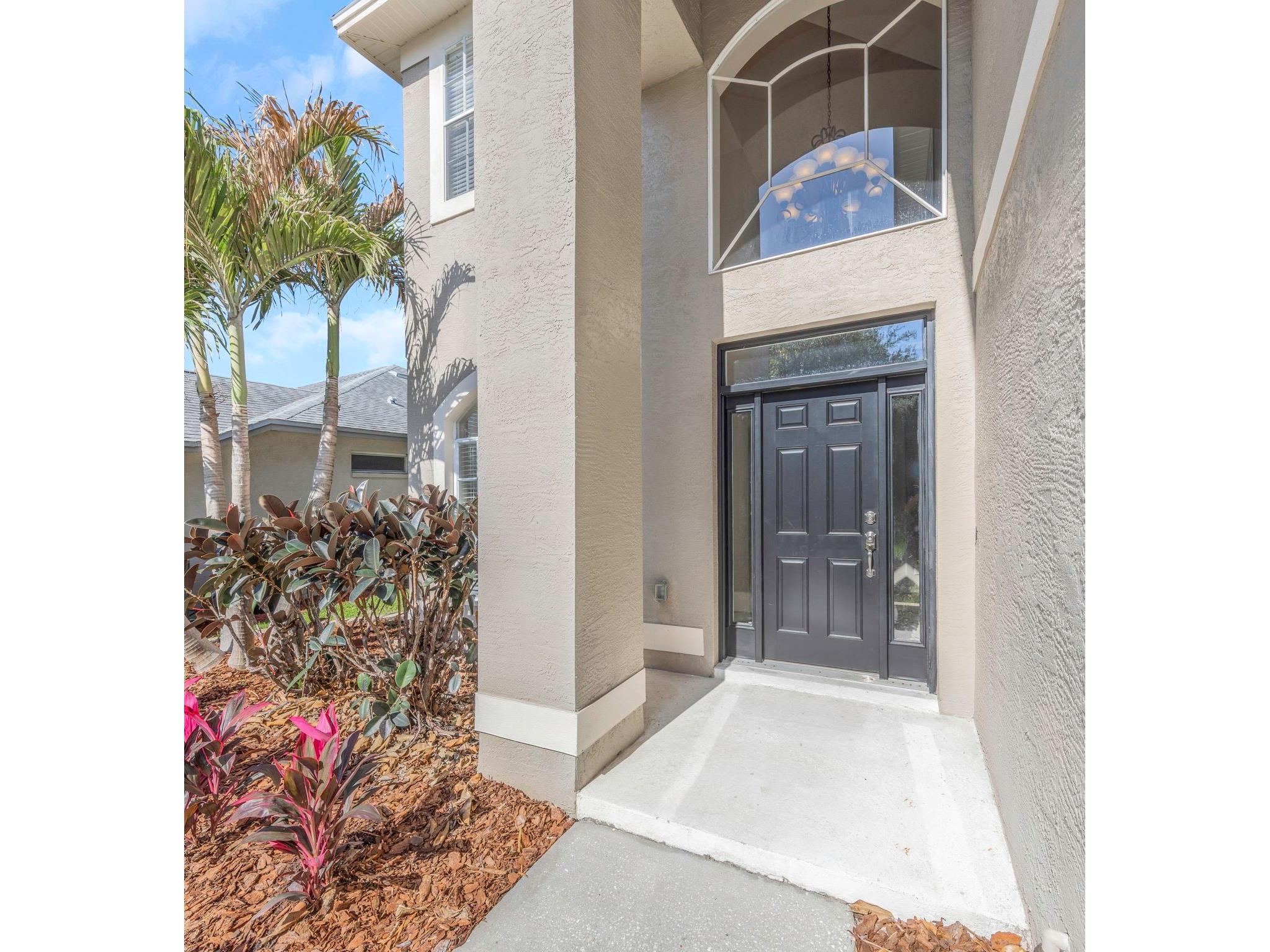 4152 Grandchamp Circle Palm Harbor FL 34685 TB8498897 image59