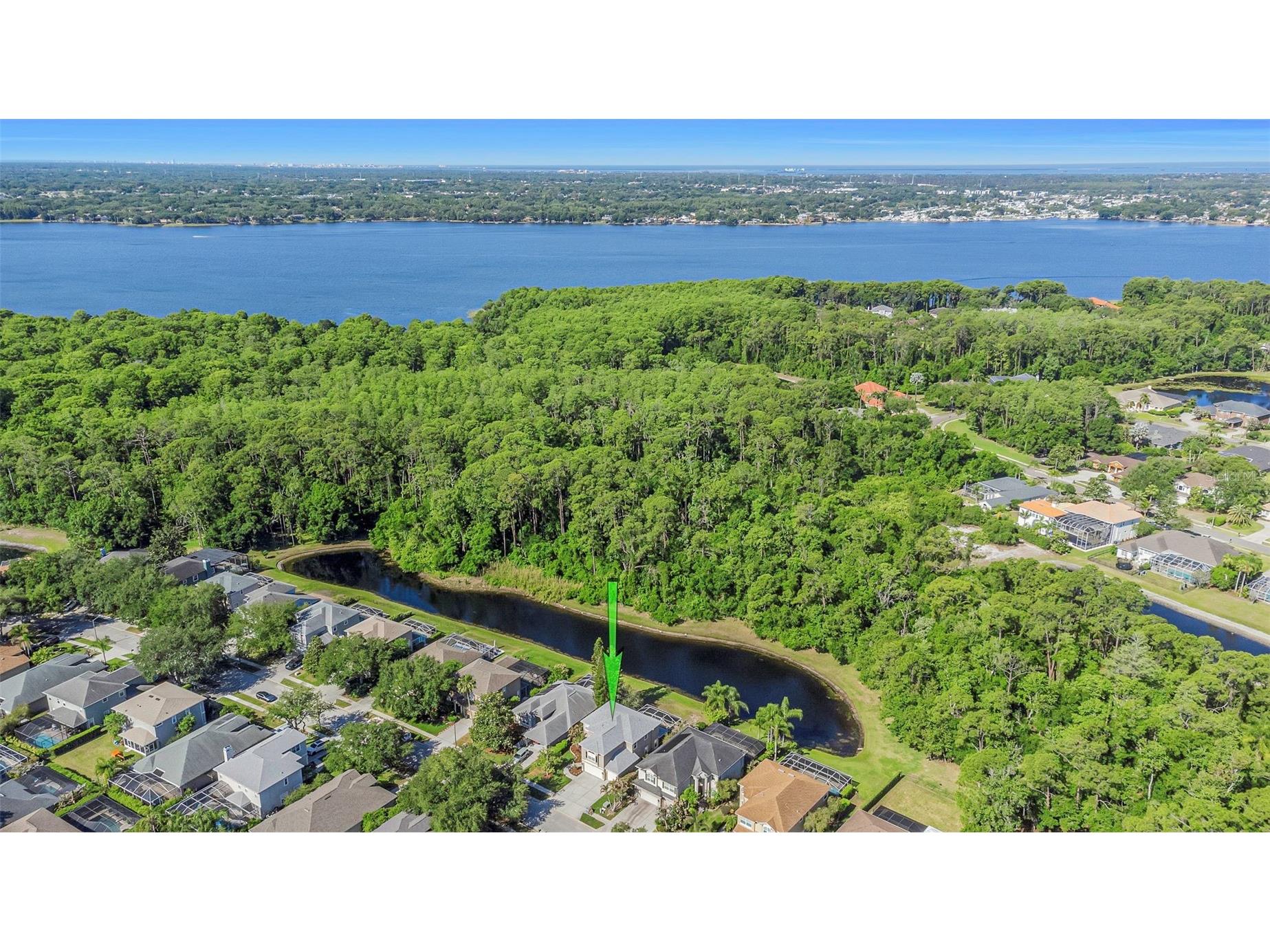 4152 Grandchamp Circle Palm Harbor FL 34685 TB8498897 image73