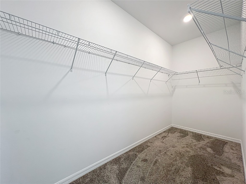 4152 Pino Street Apopka FL 32712 O6343915 image35