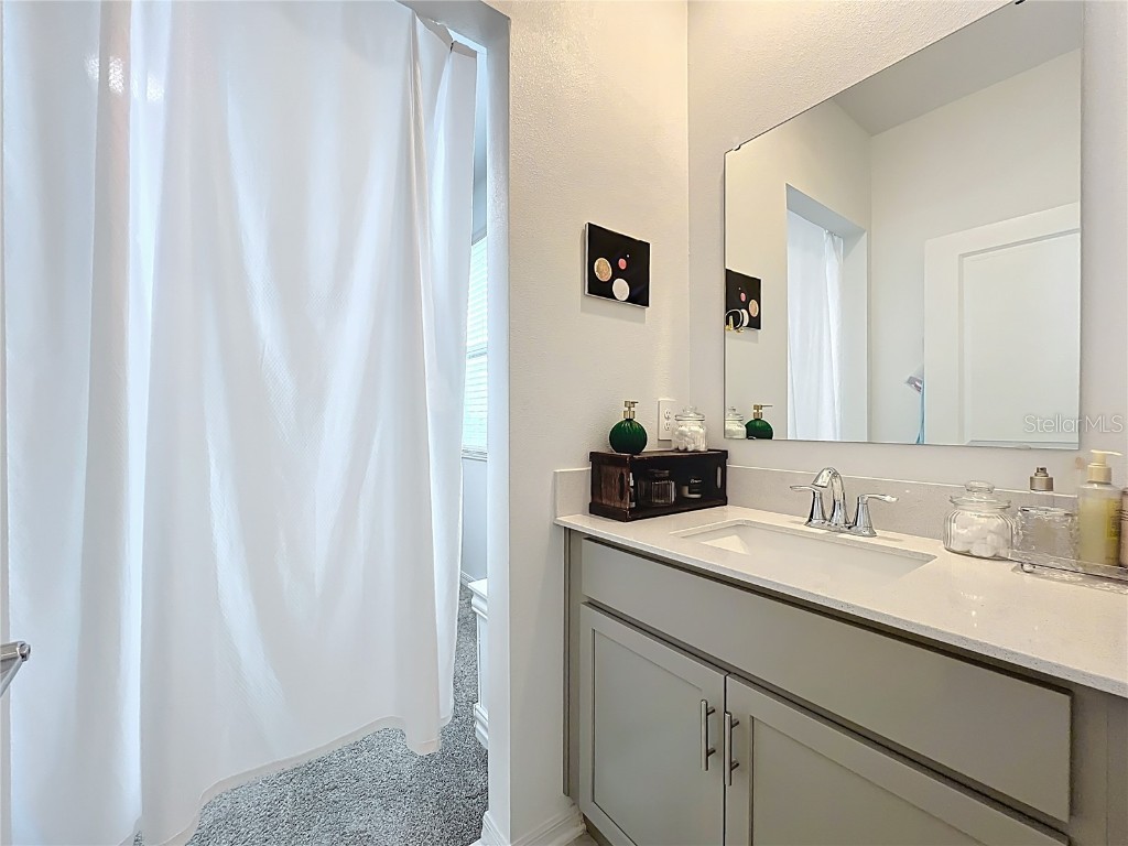 4152 Pino Street Apopka FL 32712 O6343915 image48