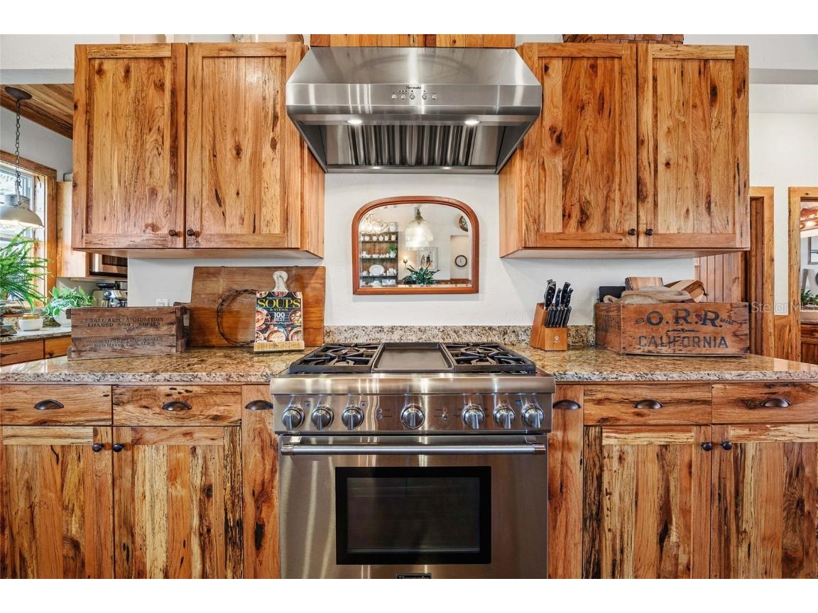 41526 Saddle Ridge Lane Weirsdale FL 32195 OM712763 image14