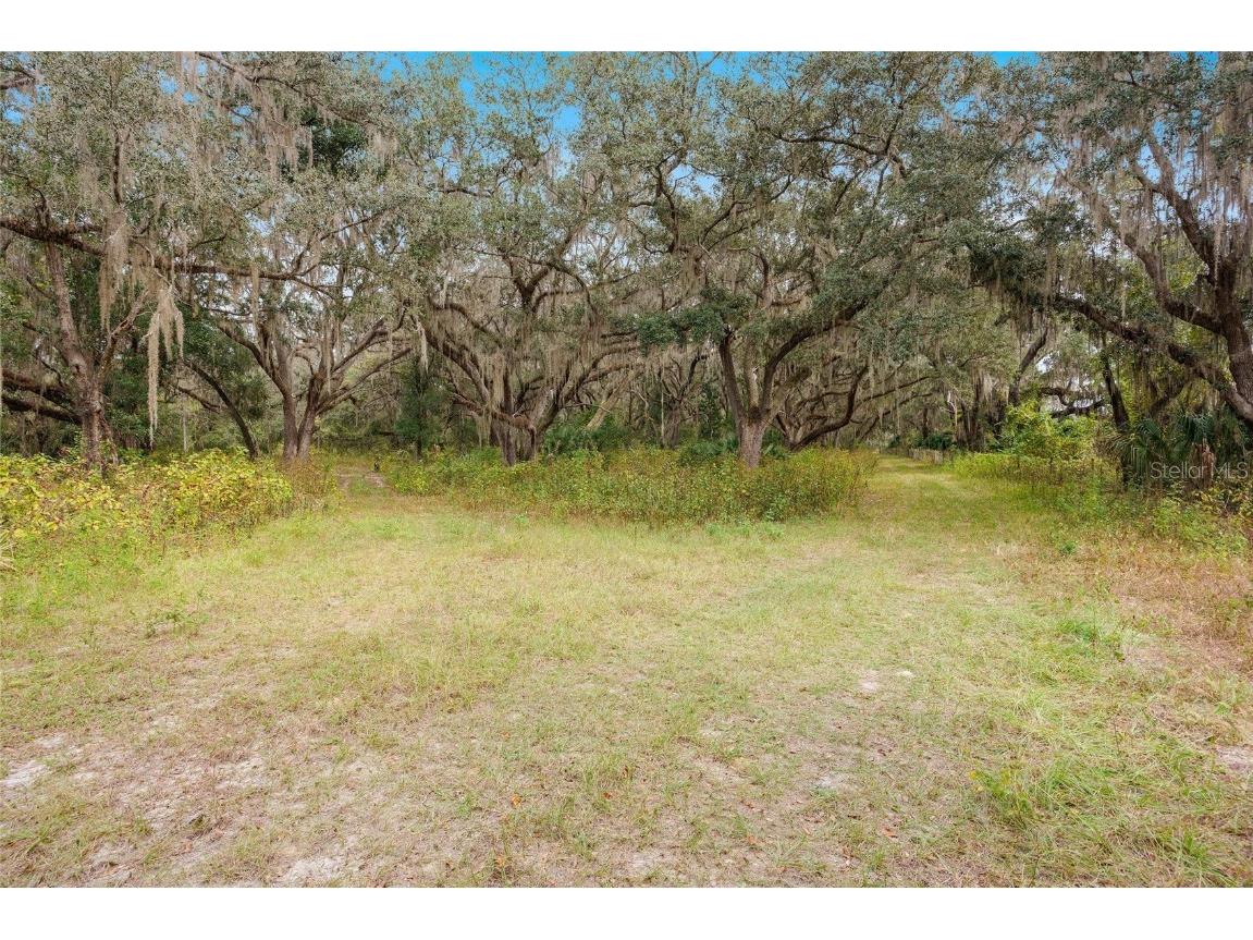 41526 Saddle Ridge Lane Weirsdale FL 32195 OM712763 image60