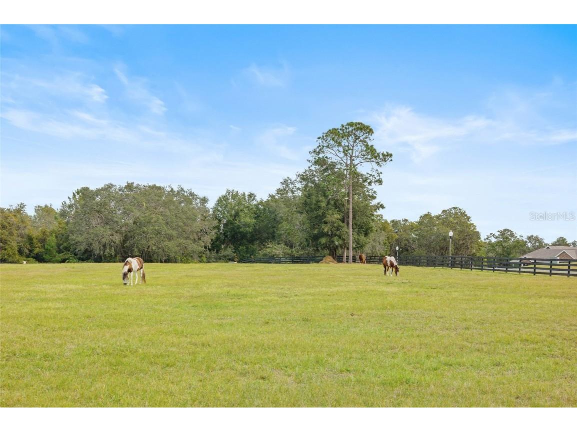 41526 Saddle Ridge Lane Weirsdale FL 32195 OM712763 image80