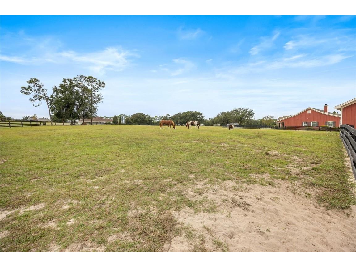 41526 Saddle Ridge Lane Weirsdale FL 32195 OM712763 image82