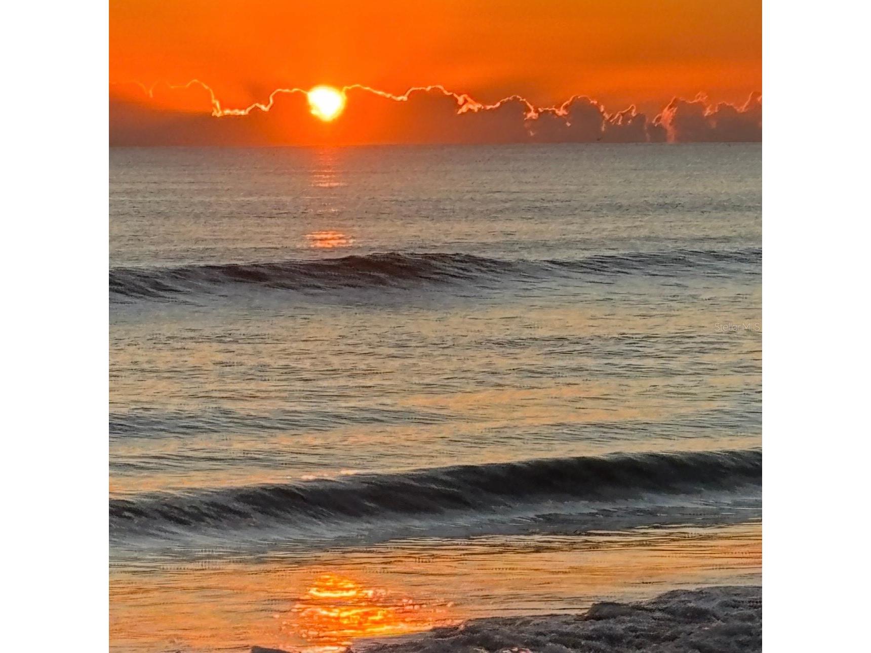 4153 S Atlantic Avenue #217 New Smyrna Beach FL 32169 O6372435 image32