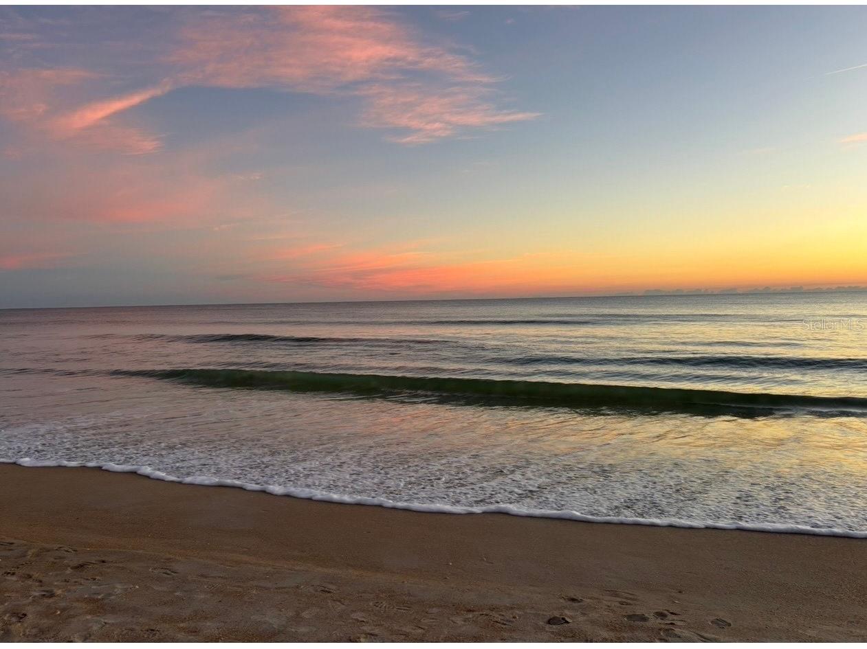 4153 S Atlantic Avenue #217 New Smyrna Beach FL 32169 O6372435 image33