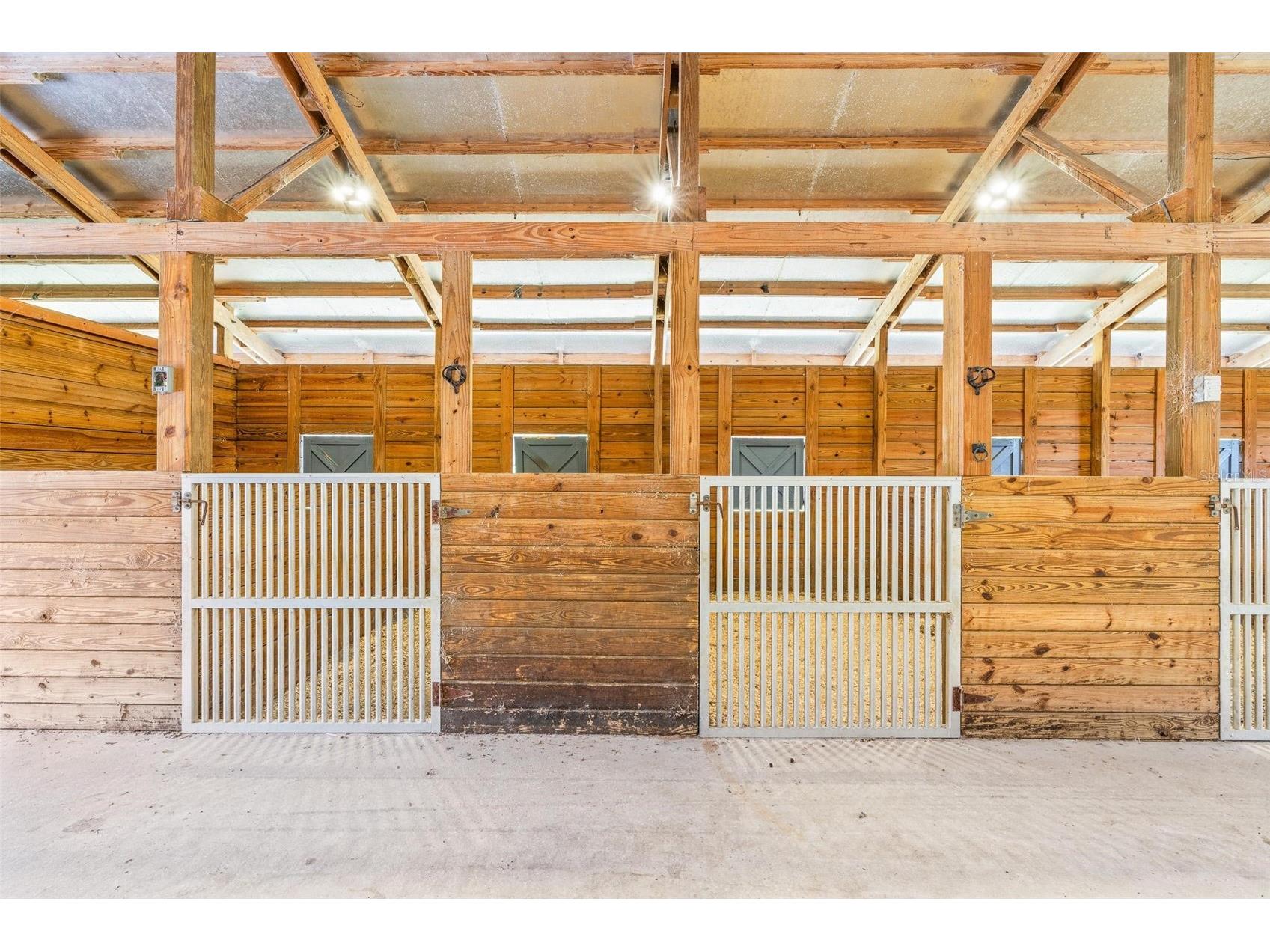 41534 Thomas Boat Landing Road Umatilla FL 32784 - LAKE YALE G5101066 image33