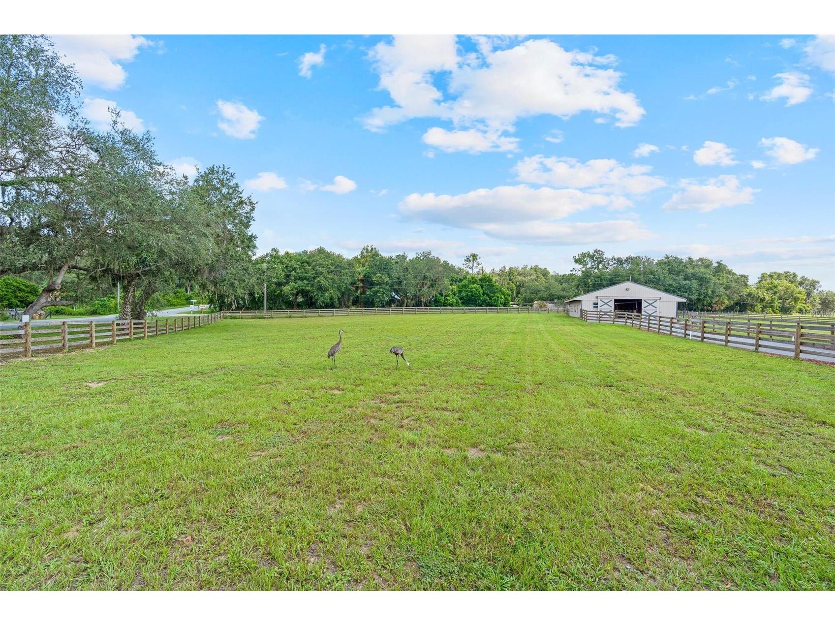 41534 Thomas Boat Landing Road Umatilla FL 32784 - LAKE YALE G5101066 image43