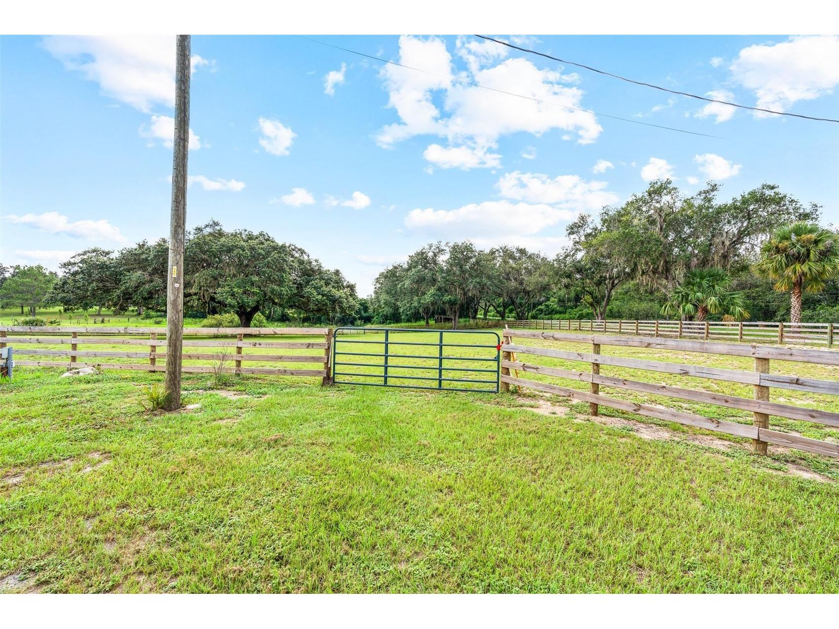 41534 Thomas Boat Landing Road Umatilla FL 32784 - LAKE YALE G5101066 image45