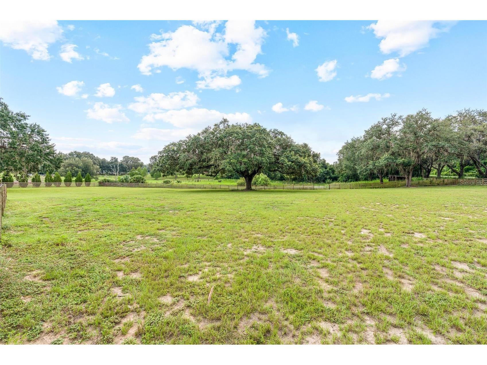 41534 Thomas Boat Landing Road Umatilla FL 32784 - LAKE YALE G5101066 image46