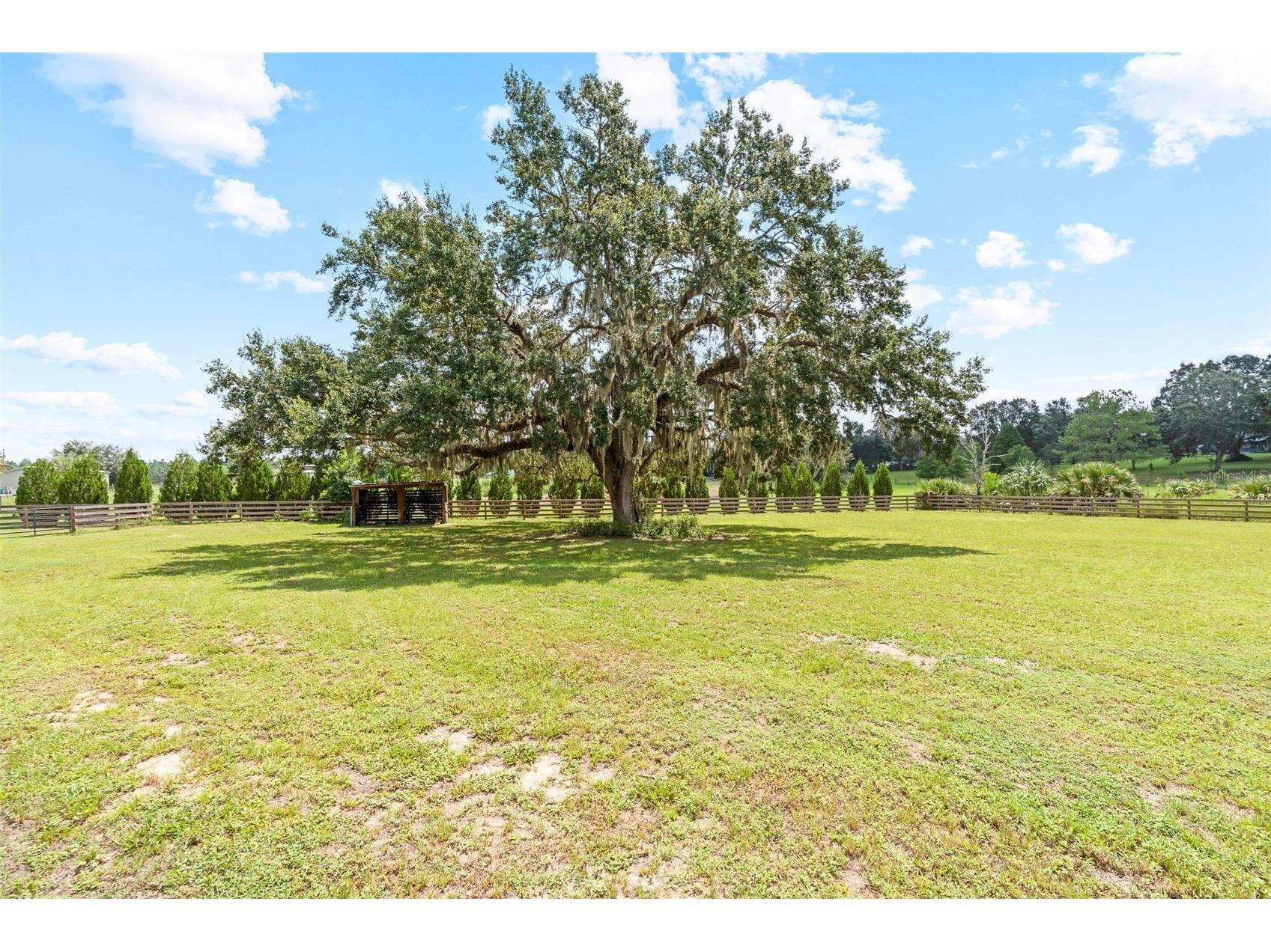 41534 Thomas Boat Landing Road Umatilla FL 32784 - LAKE YALE G5101066 image49