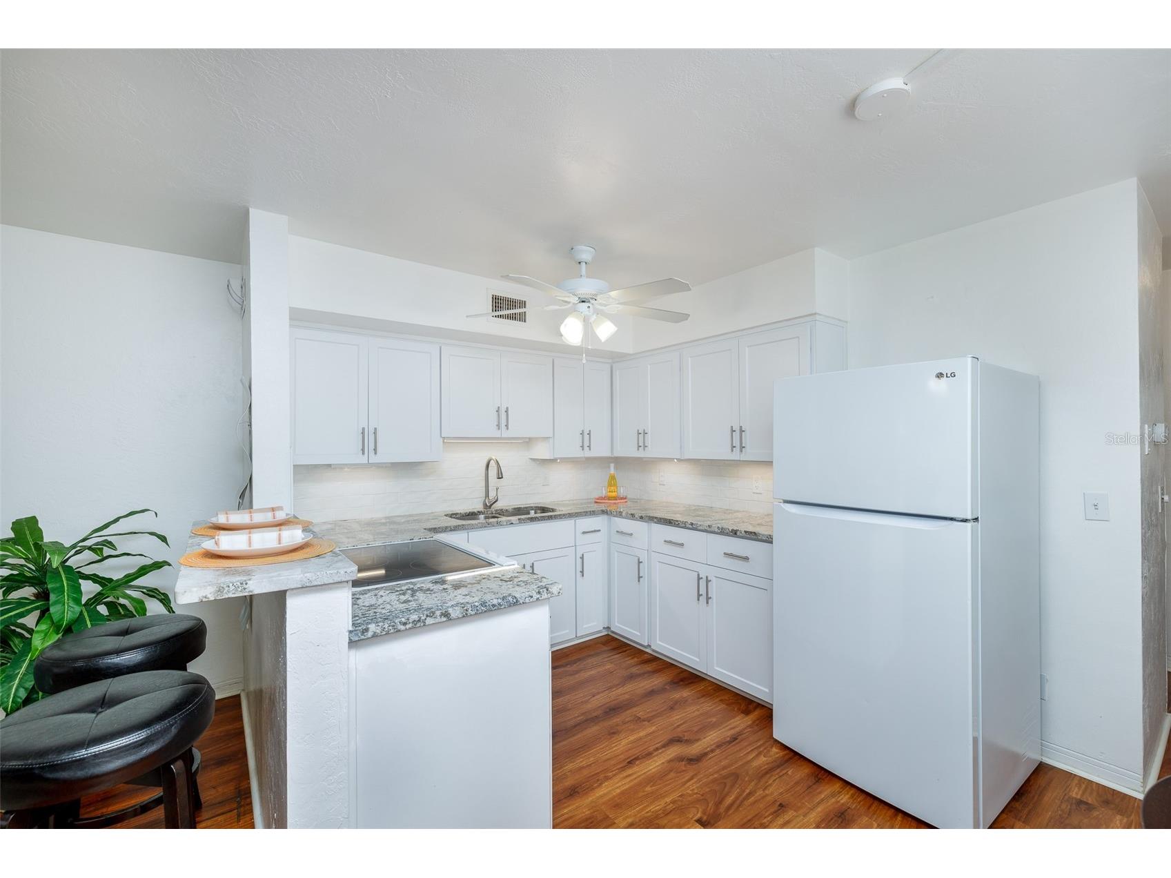 4154 56th Street N #720 Kenneth City FL 33709 A4698845 image8