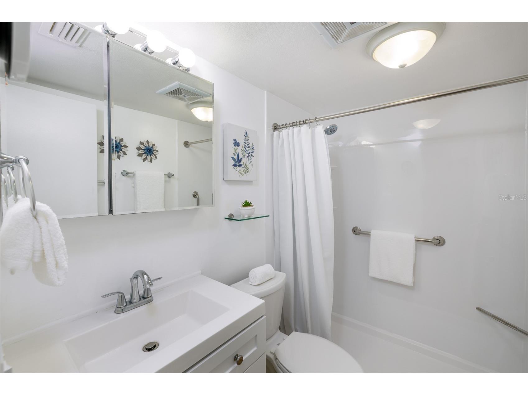 4154 56th Street N #720 Kenneth City FL 33709 A4698845 image9