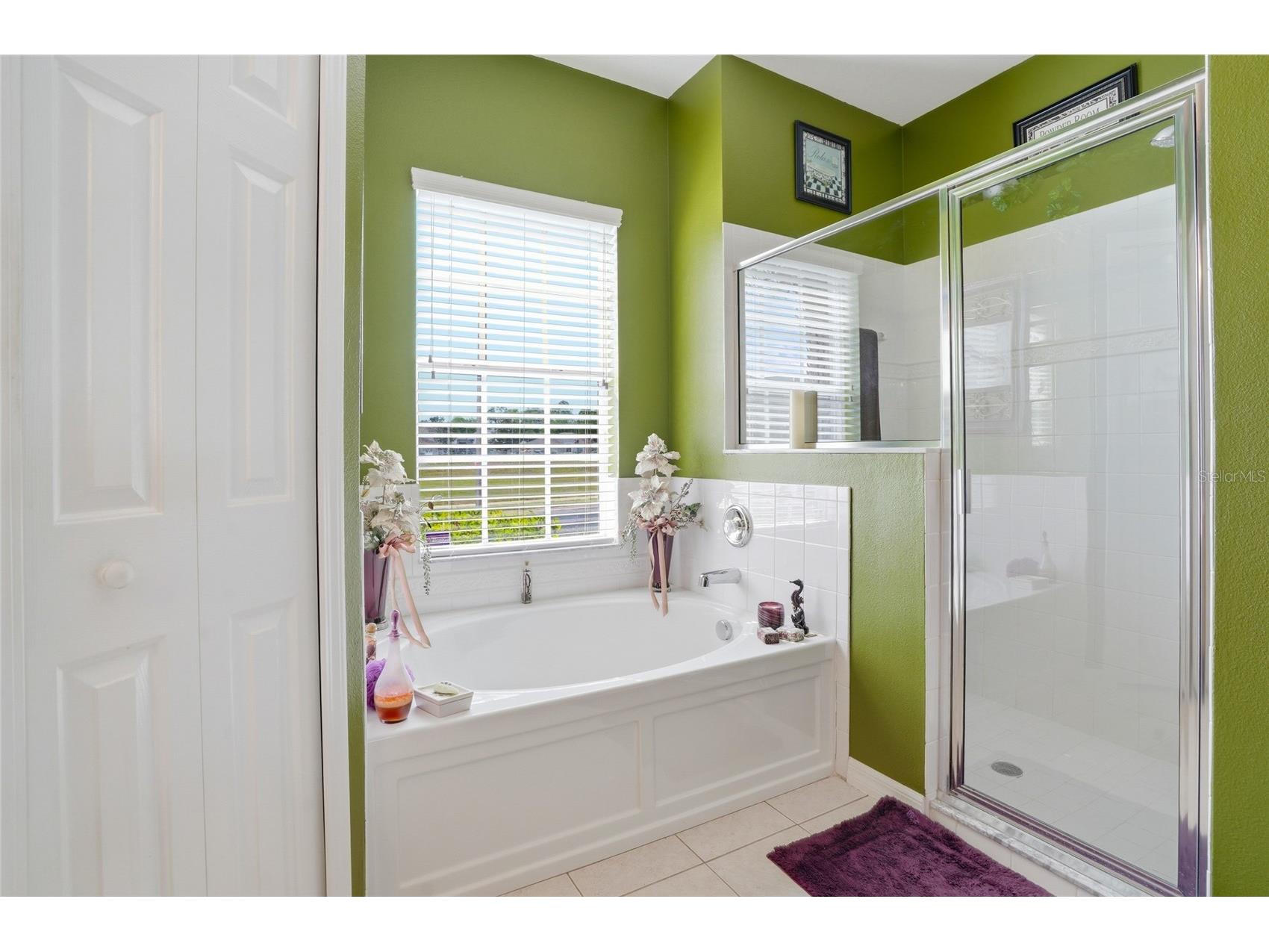 4154 Braemere Drive Spring Hill FL 34609 TB8489874 image14