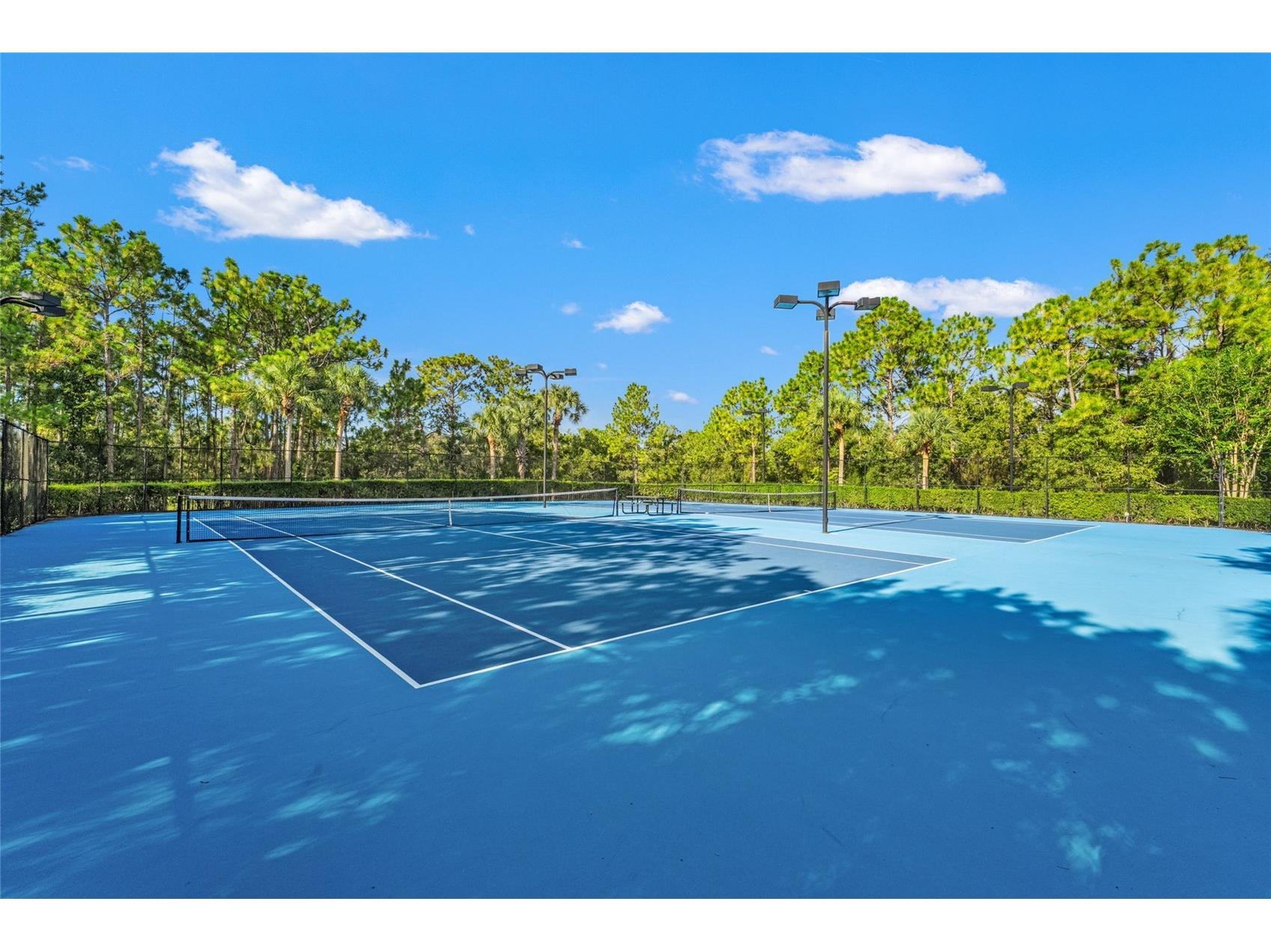 4154 Braemere Drive Spring Hill FL 34609 TB8489874 image64