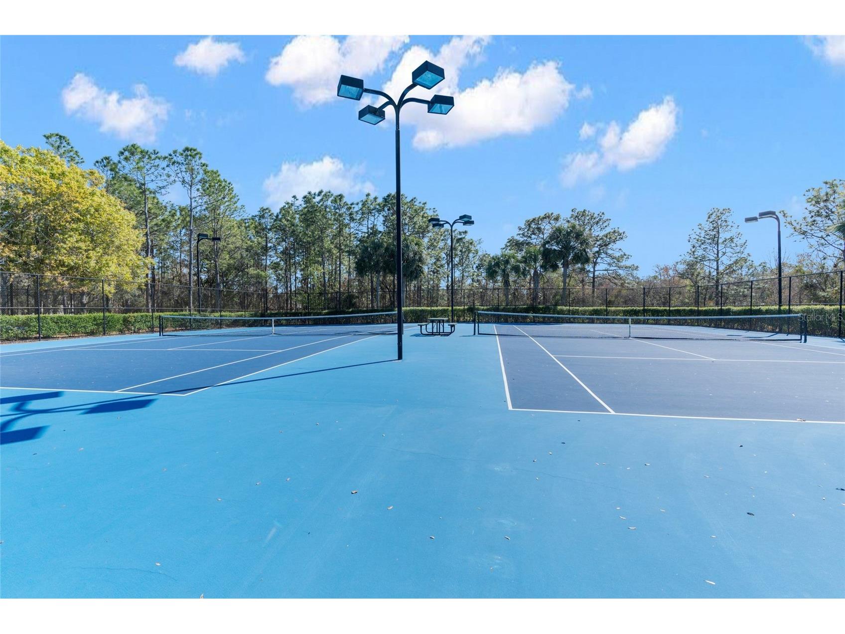 4154 Braemere Drive Spring Hill FL 34609 TB8489874 image68