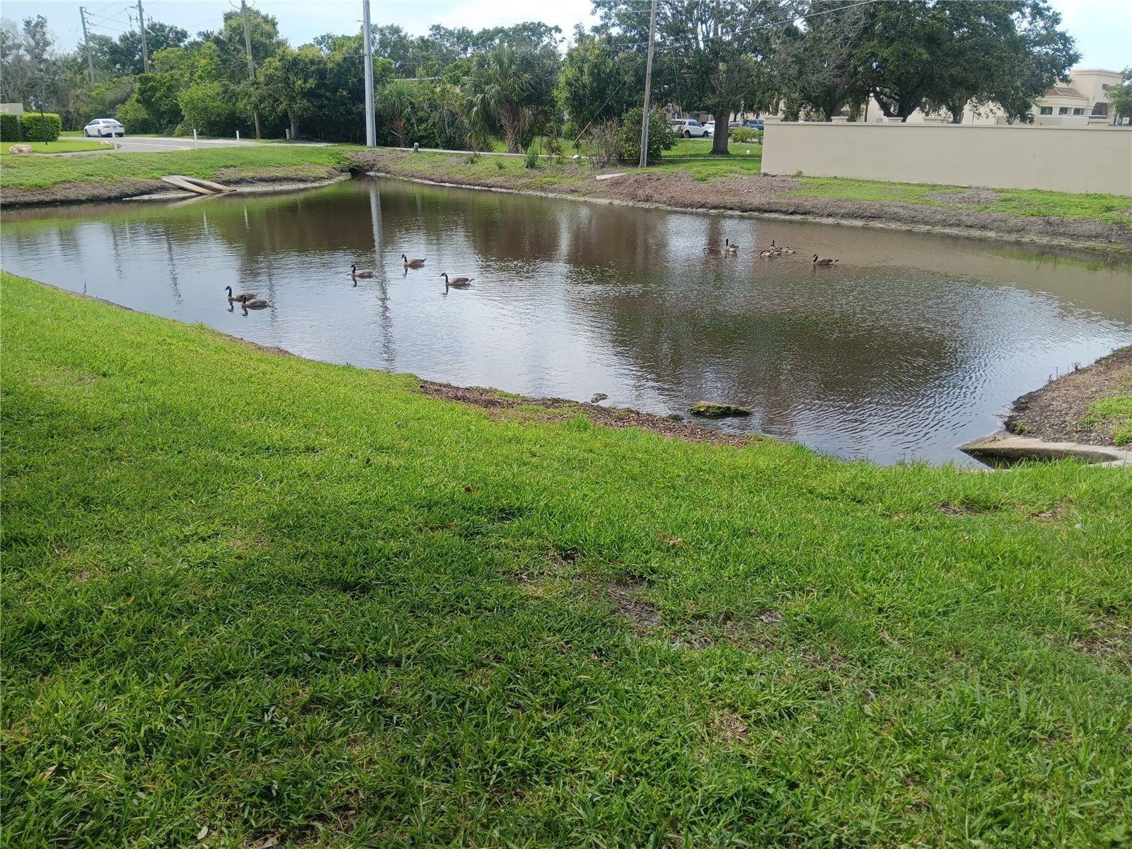 4154 Center Pointe Circle #57A Sarasota FL 34233 A4657470 image29