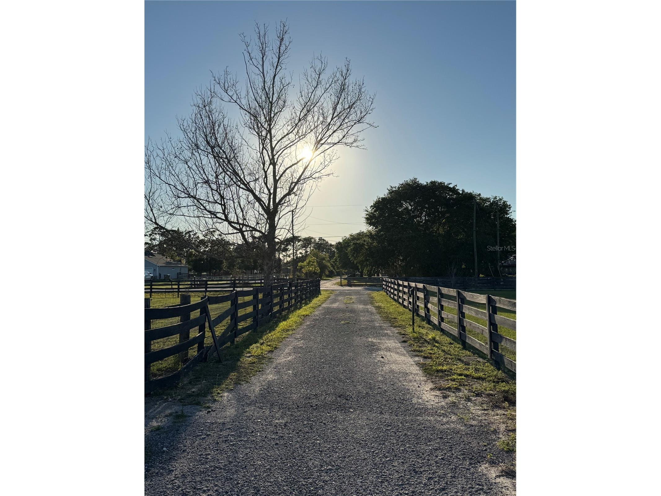 4155 Albritton Road Saint Cloud FL 34772 O6391417 image2