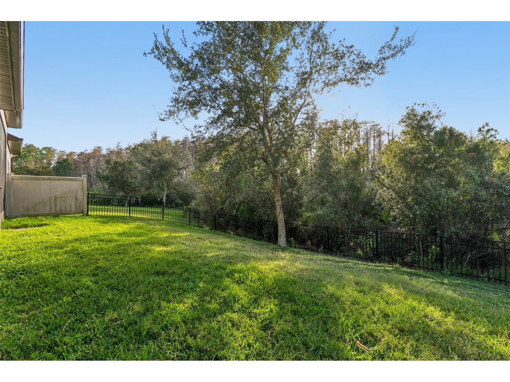 4155 Barletta Court Wesley Chapel FL 33543 TB8464956 image28