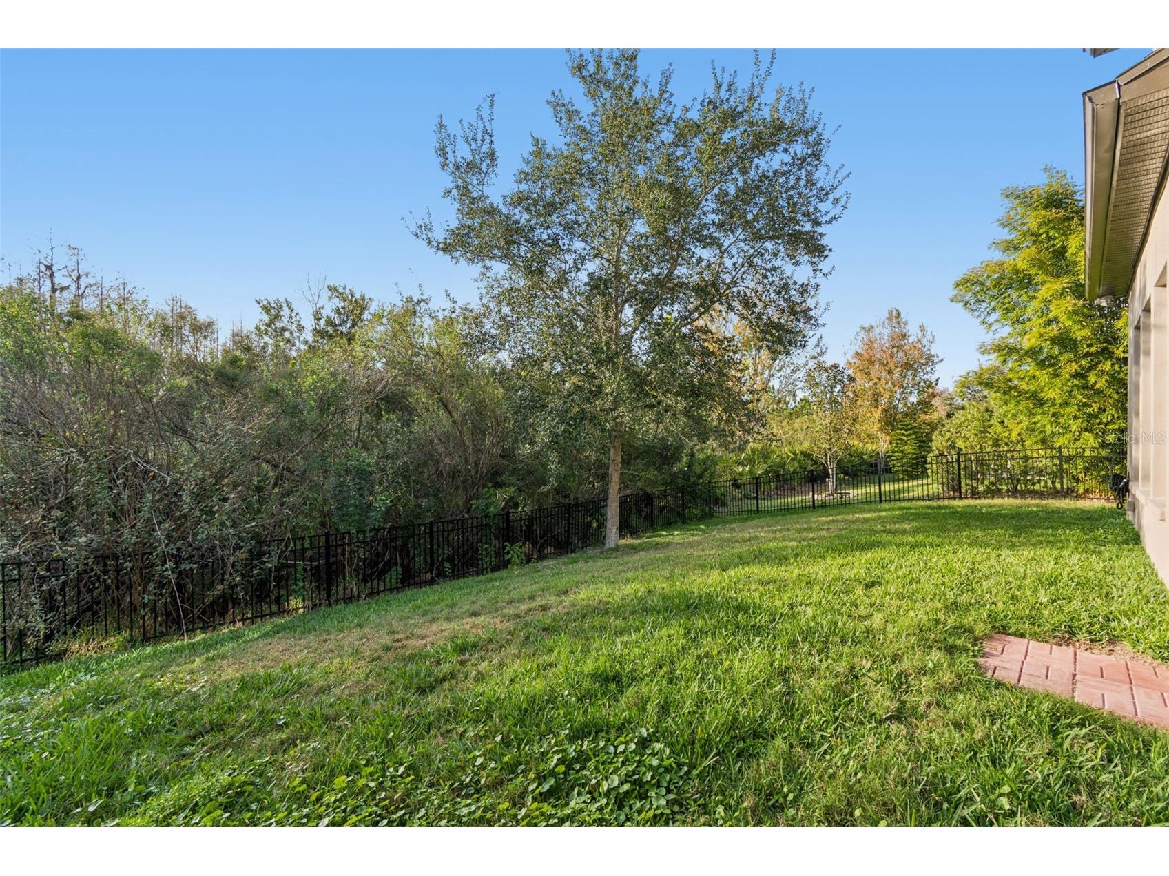 4155 Barletta Court Wesley Chapel FL 33543 TB8464956 image32