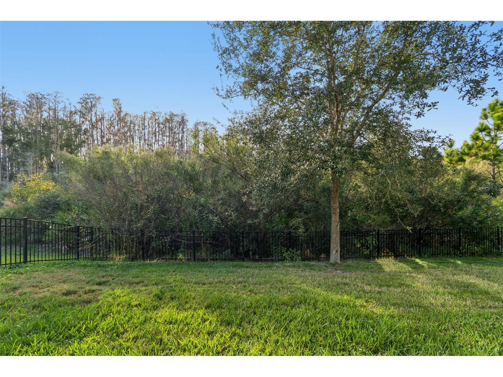 4155 Barletta Court Wesley Chapel FL 33543 TB8464956 image33