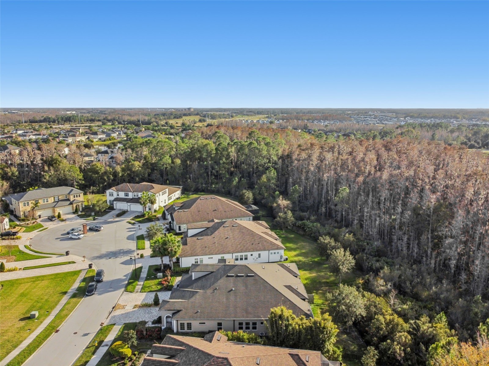 4155 Barletta Court Wesley Chapel FL 33543 TB8464956 image38