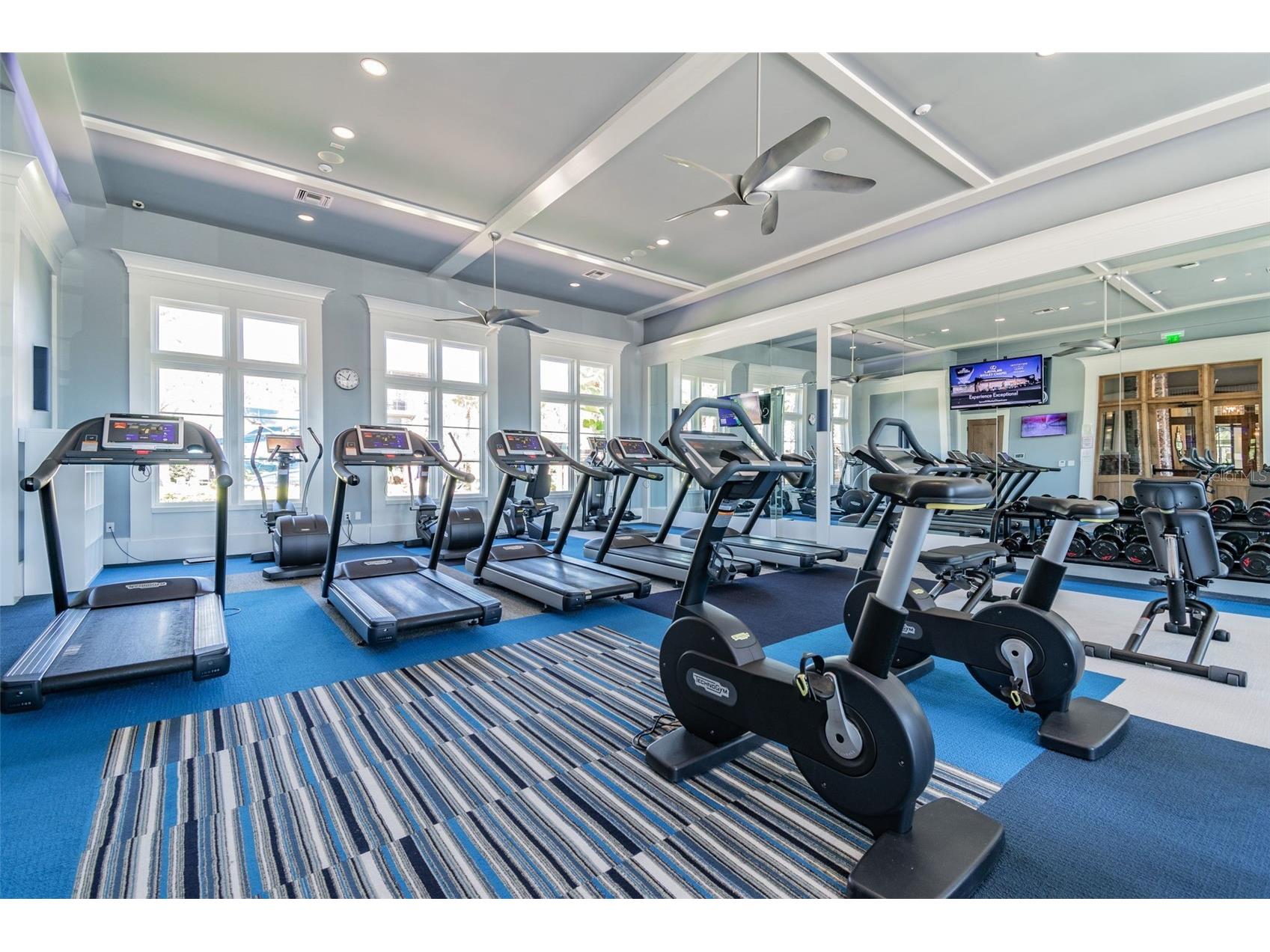 4155 Barletta Court Wesley Chapel FL 33543 TB8464956 image44