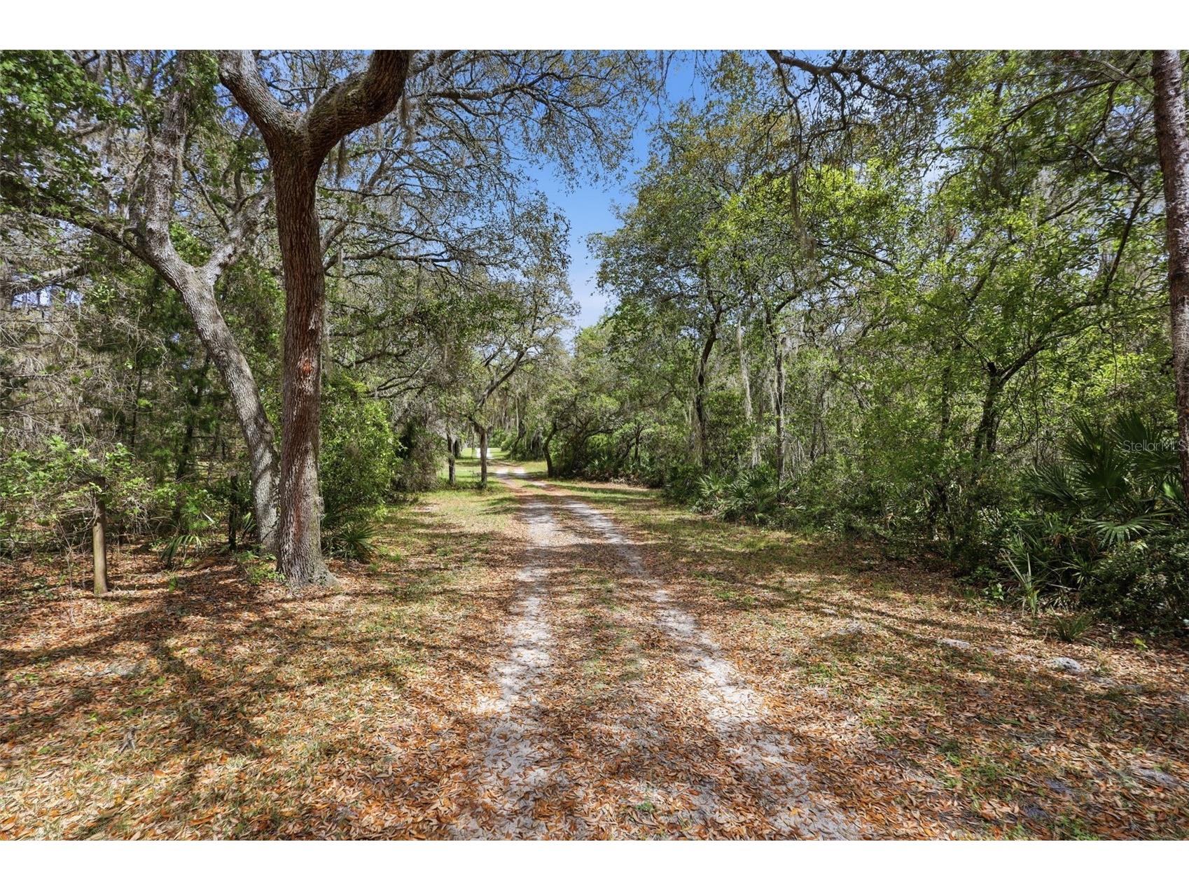 4155 Marsh Road Deland FL 32724 V4948296 image16