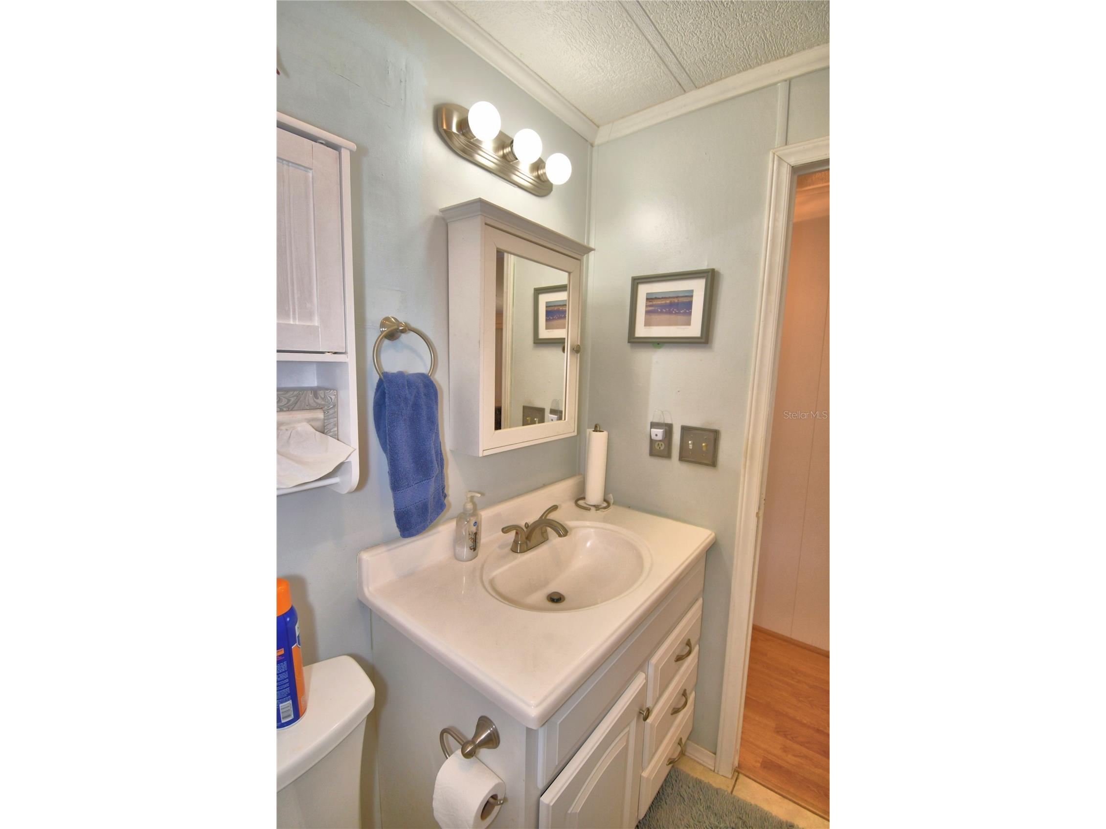4155 Sprucewood Street Winter Haven FL 33880 - Dinner Lake P4938325 image25