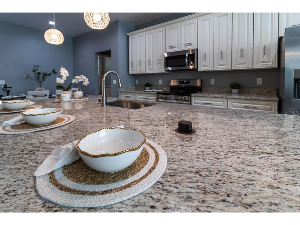 41550 Royal Trails Road Eustis FL 32736 - LAKE NORRIS O6328829 image3