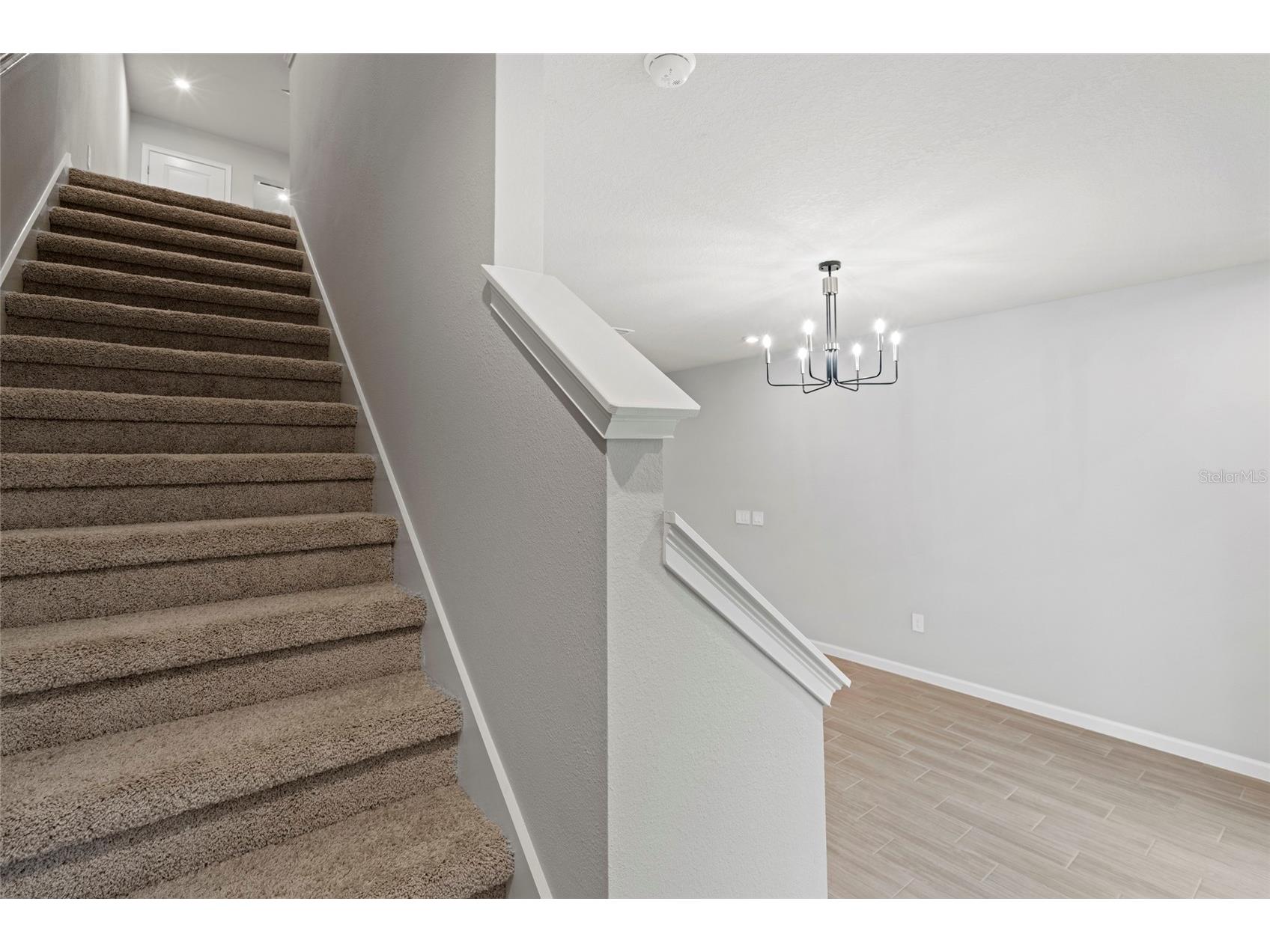 4156 Cloud Hopper Way Way Lutz FL 33559 TB8488431 image15