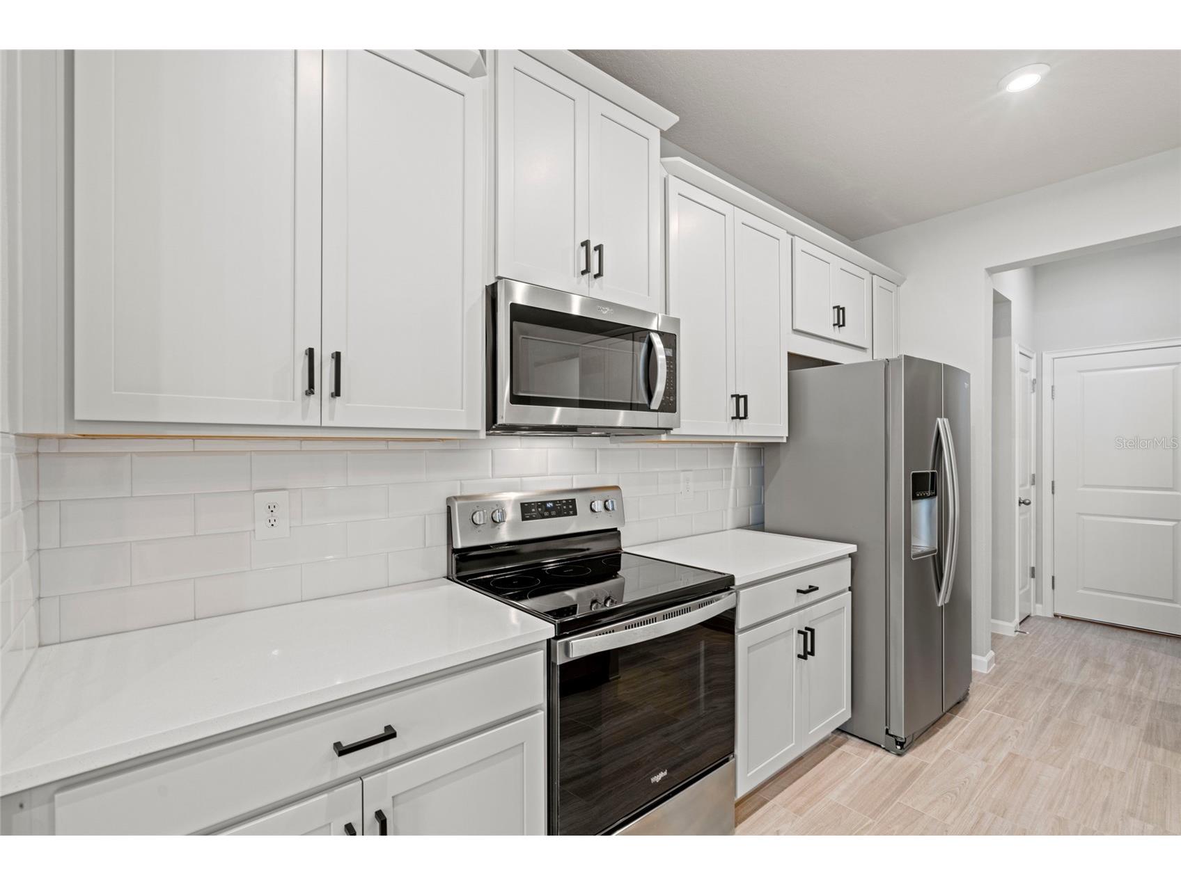 4156 Cloud Hopper Way Way Lutz FL 33559 TB8488431 image8