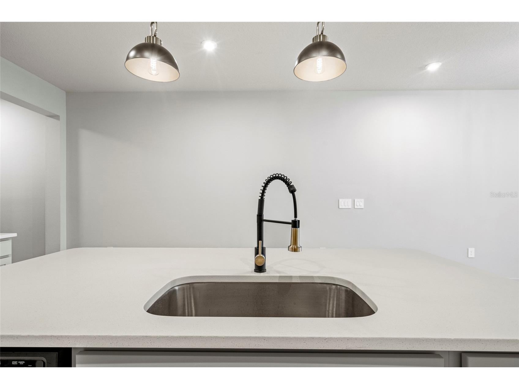4156 Cloud Hopper Way Way Lutz FL 33559 TB8488431 image9