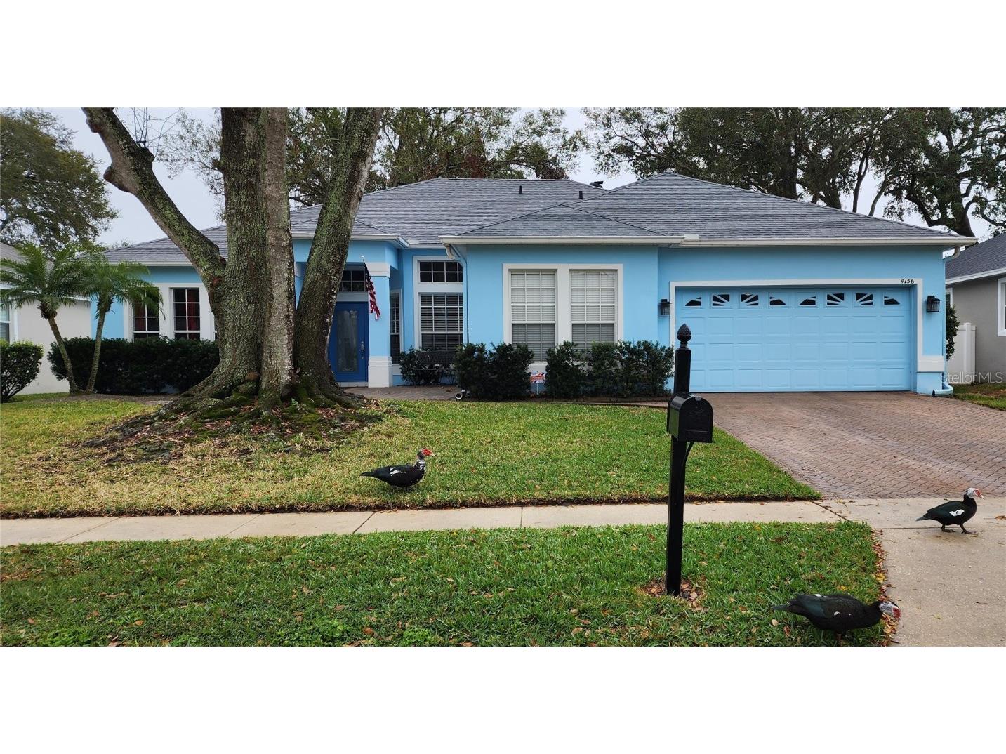 4156 Evander Drive Orlando FL 32812 O6087478 image1