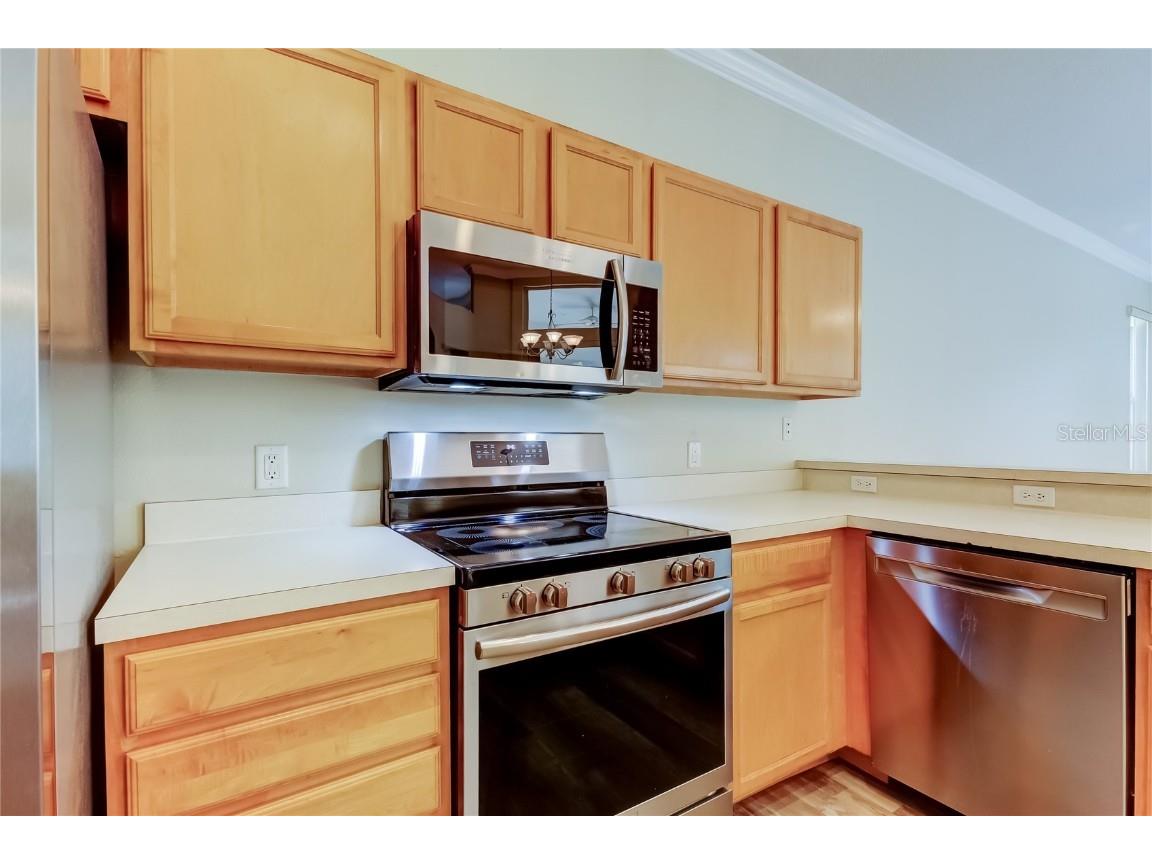 4157 Grandchamp Circle Palm Harbor FL 34685 TB8427623 image27