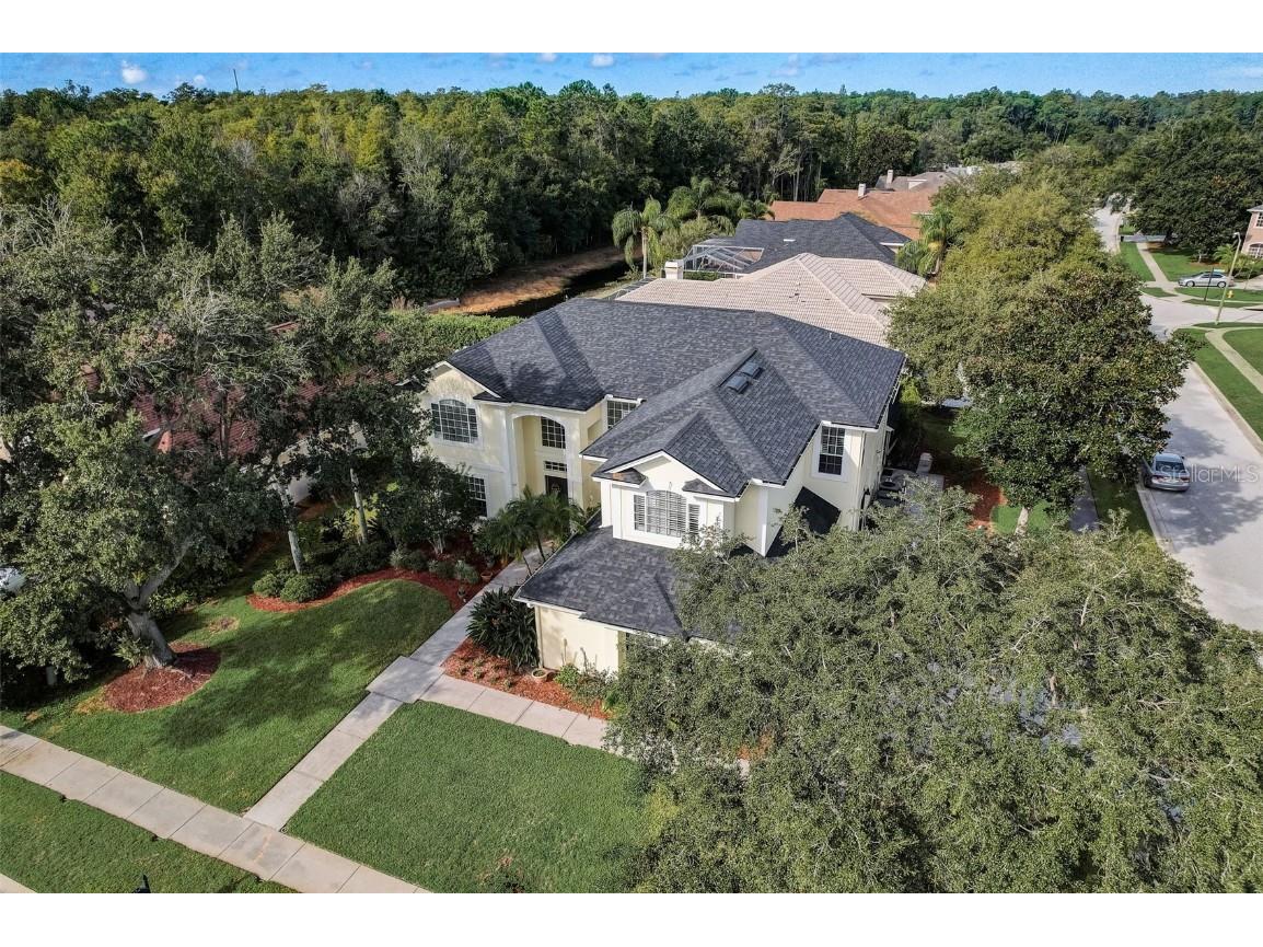 4158 Auston Way Palm Harbor FL 34685 T3477450 image1