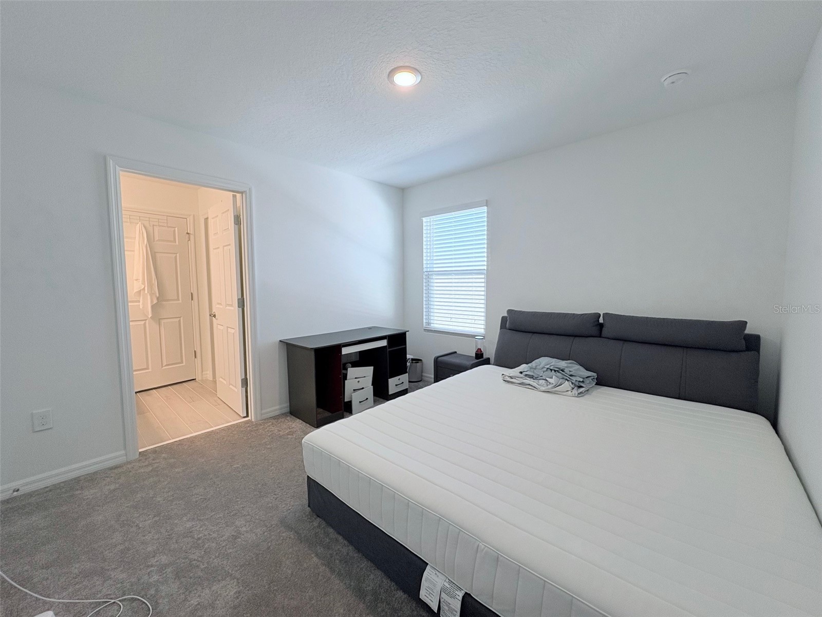 4158 Gooseberry Trl Kissimmee FL 34746 TB8488364 image24