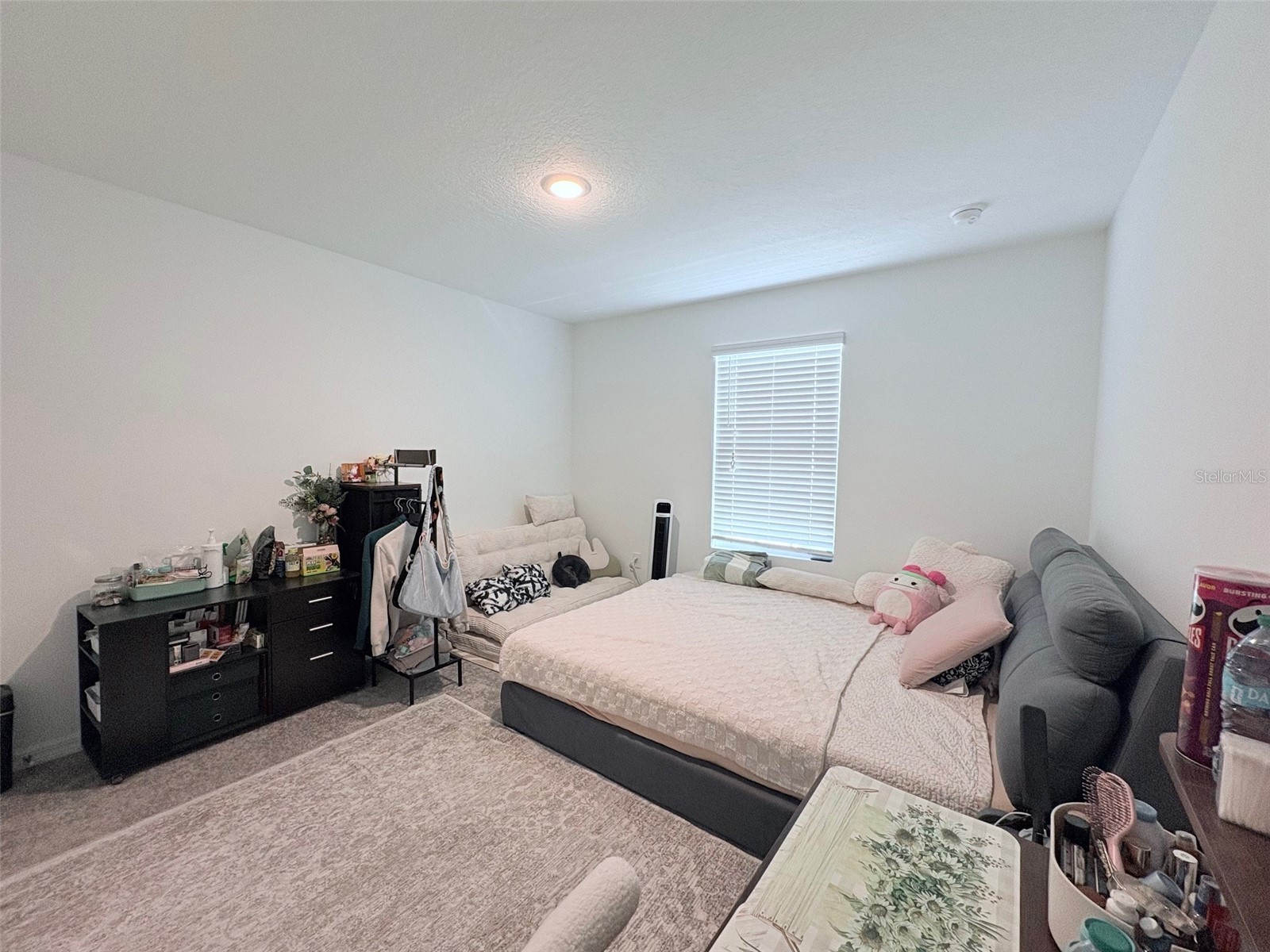 4158 Gooseberry Trl Kissimmee FL 34746 TB8488364 image32