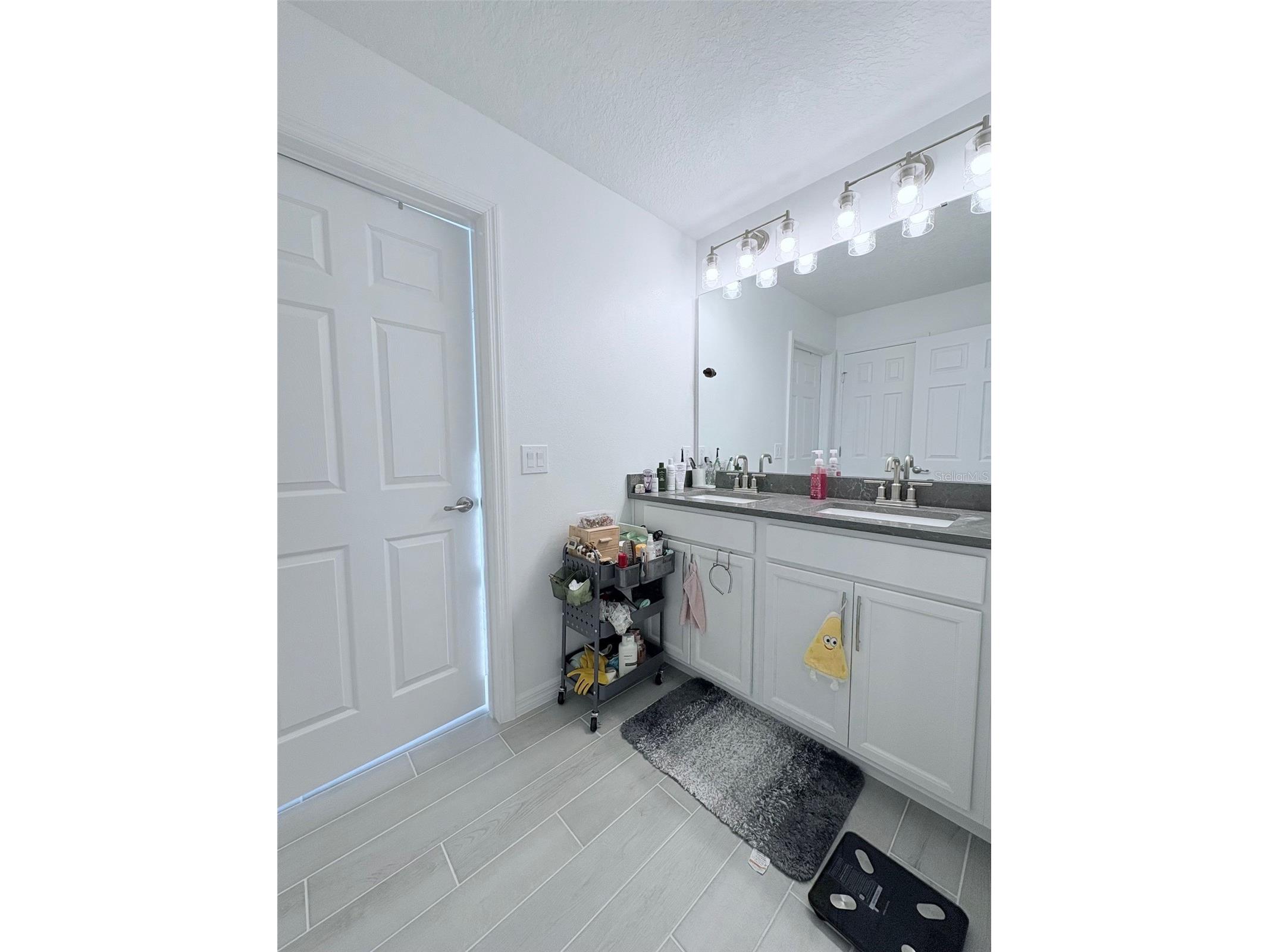 4158 Gooseberry Trl Kissimmee FL 34746 TB8488364 image35
