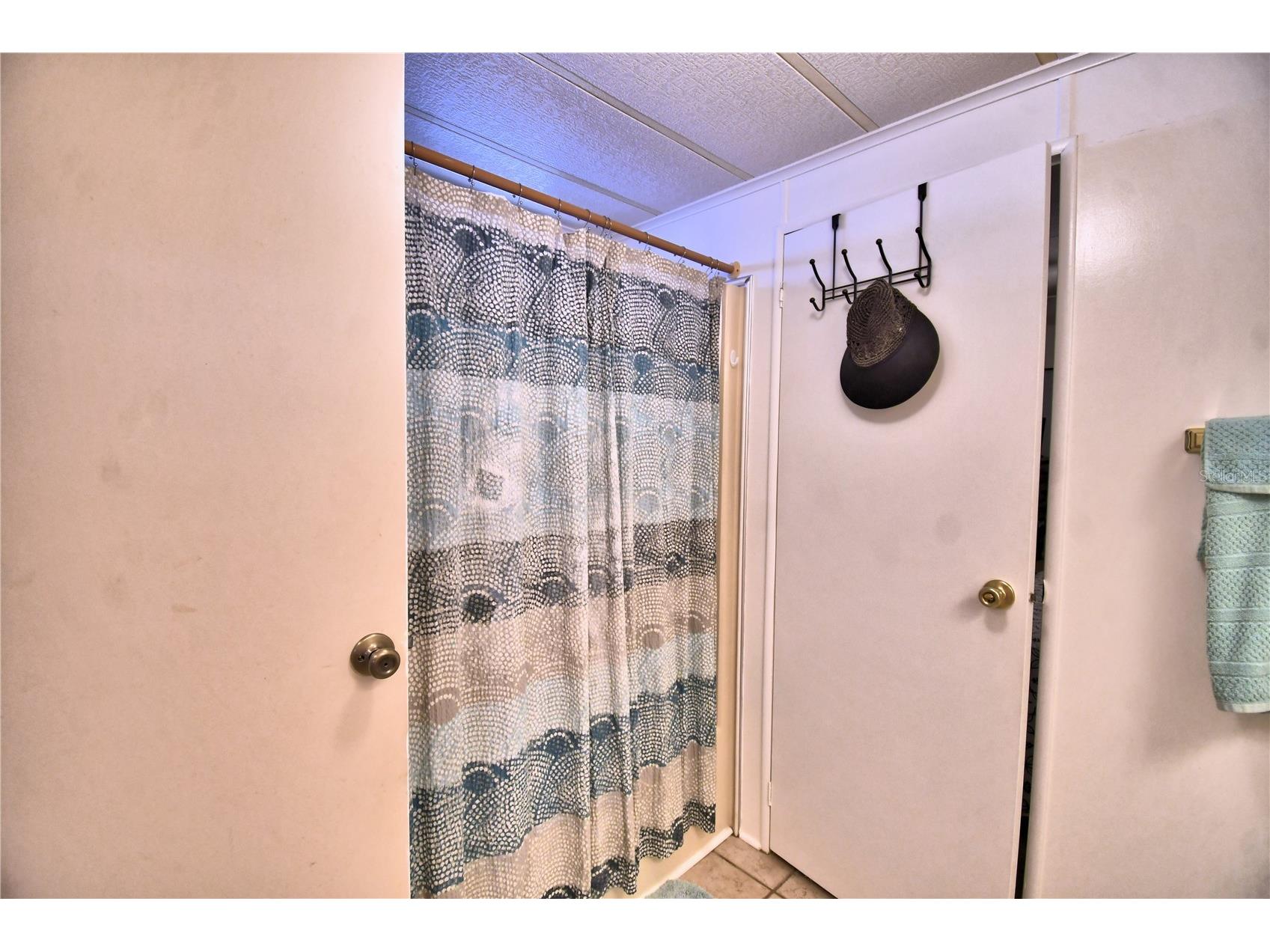 4158 Rolling Oaks Drive Winter Haven FL 33880 - Dinner Lake P4938916 image34
