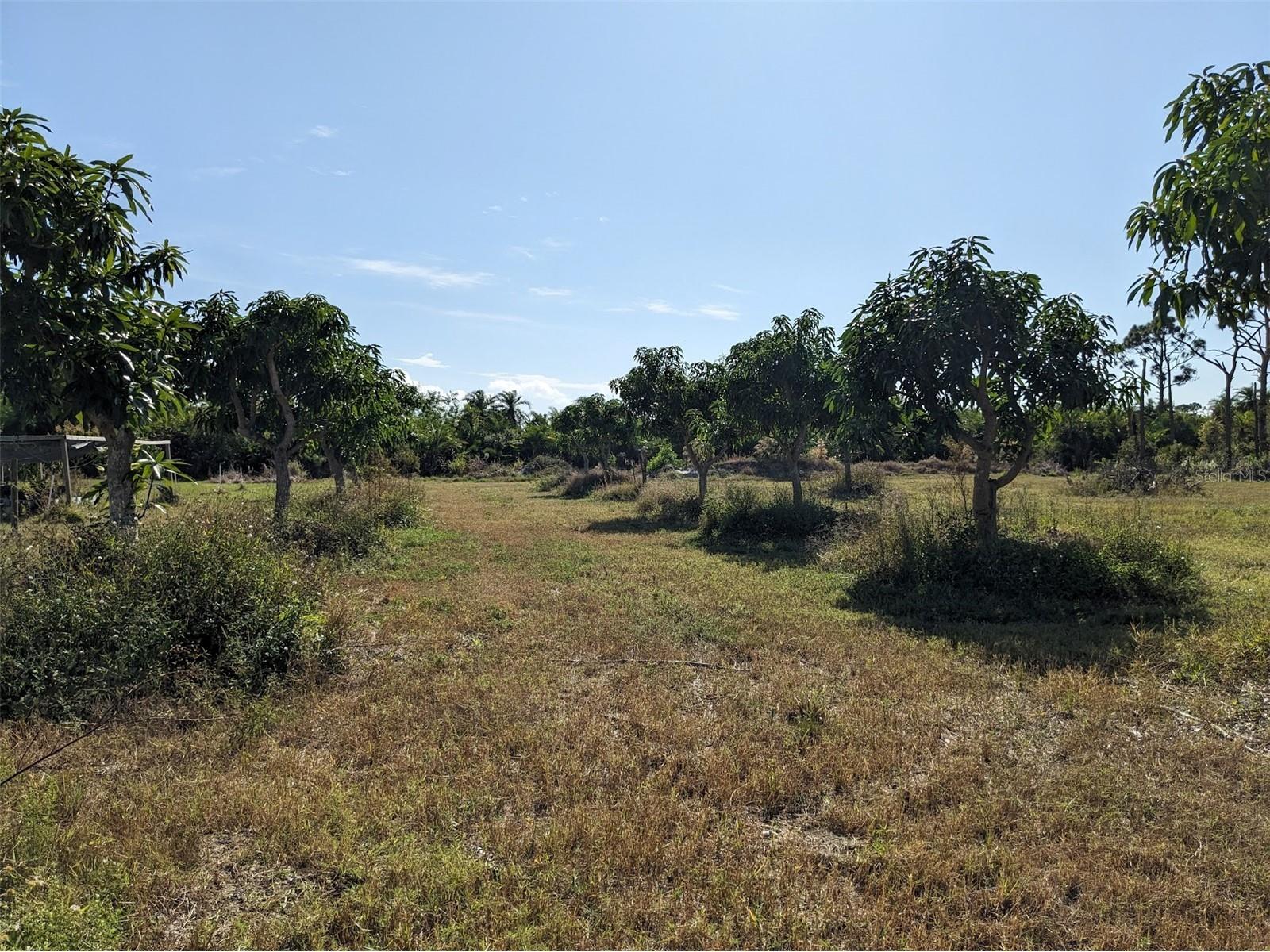 4159 Sunshine Boulevard Saint James City FL 33956 C7523454 image14