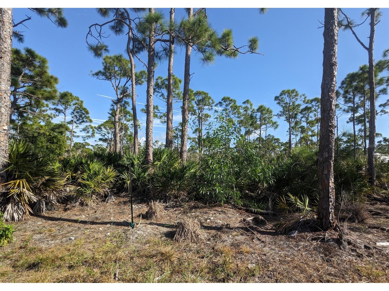 4159 Sunshine Boulevard Saint James City FL 33956 C7523454 image3