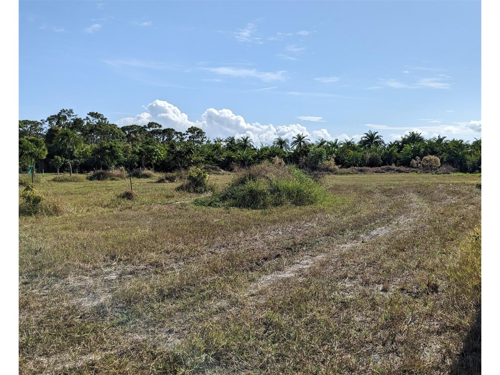 4159 Sunshine Boulevard Saint James City FL 33956 C7523454 image4