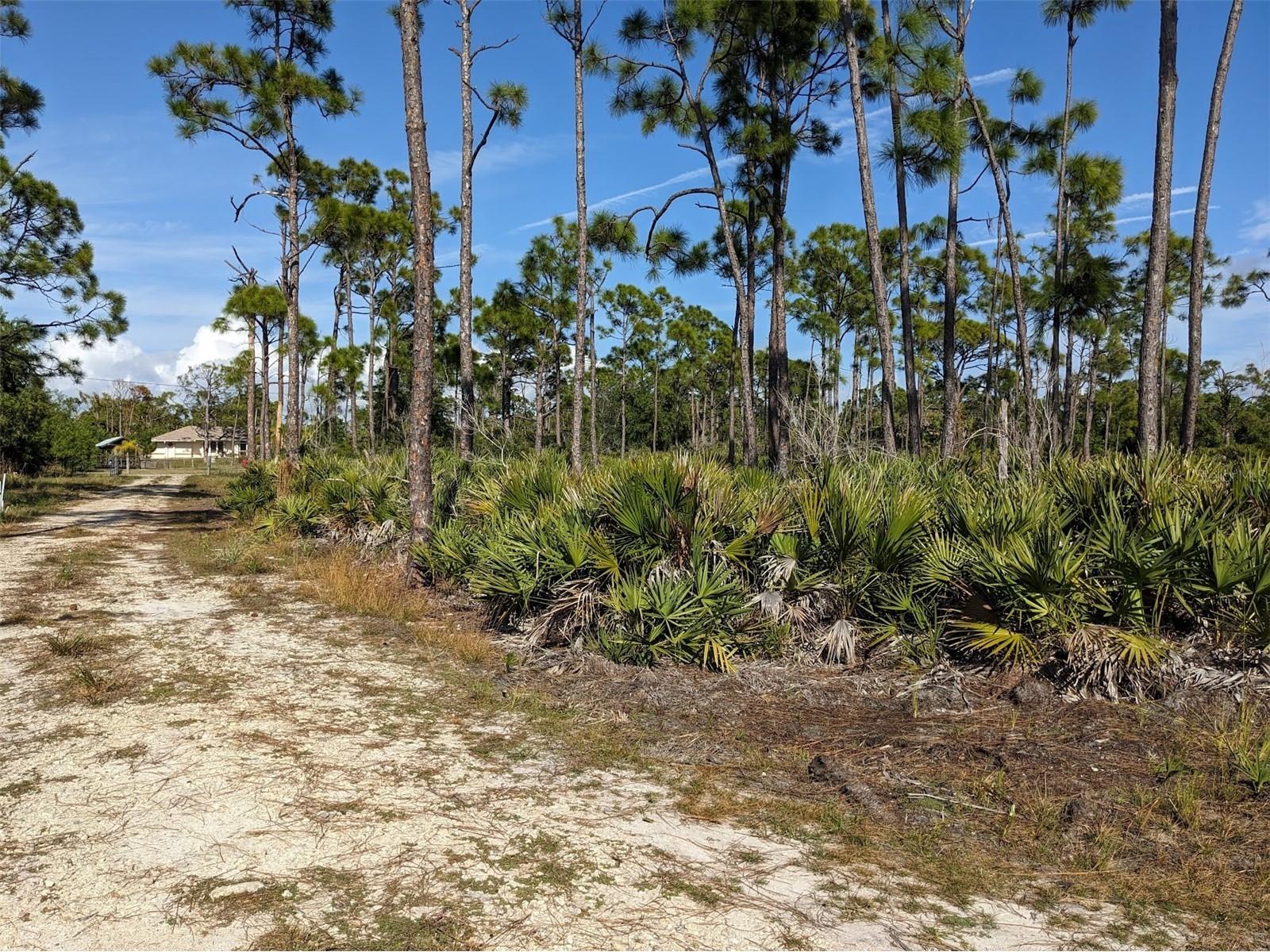 4159 Sunshine Boulevard Saint James City FL 33956 C7523454 image5